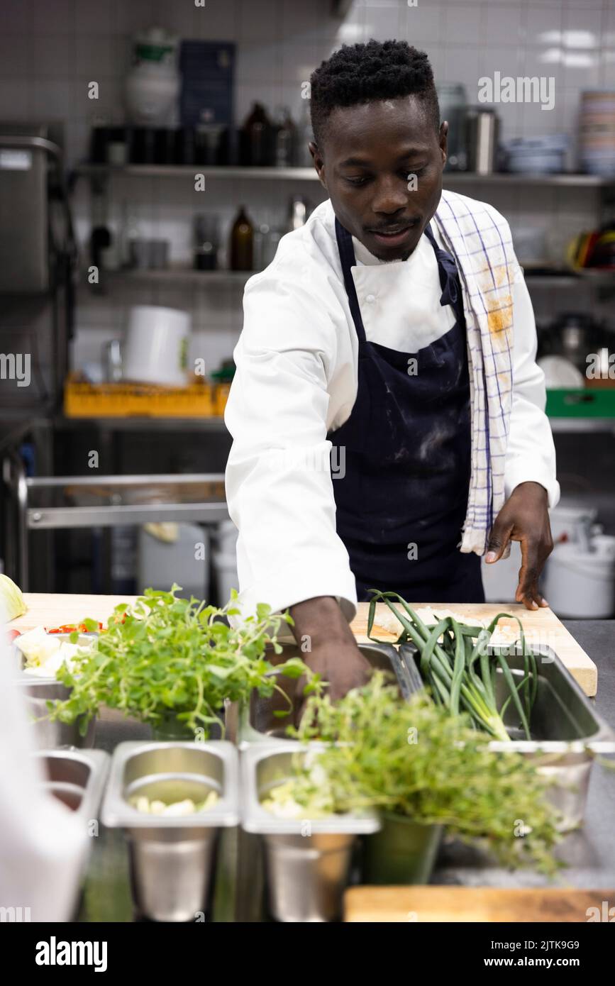 Chef cooking in kitchen of restaurant Stock Photo - Alamy