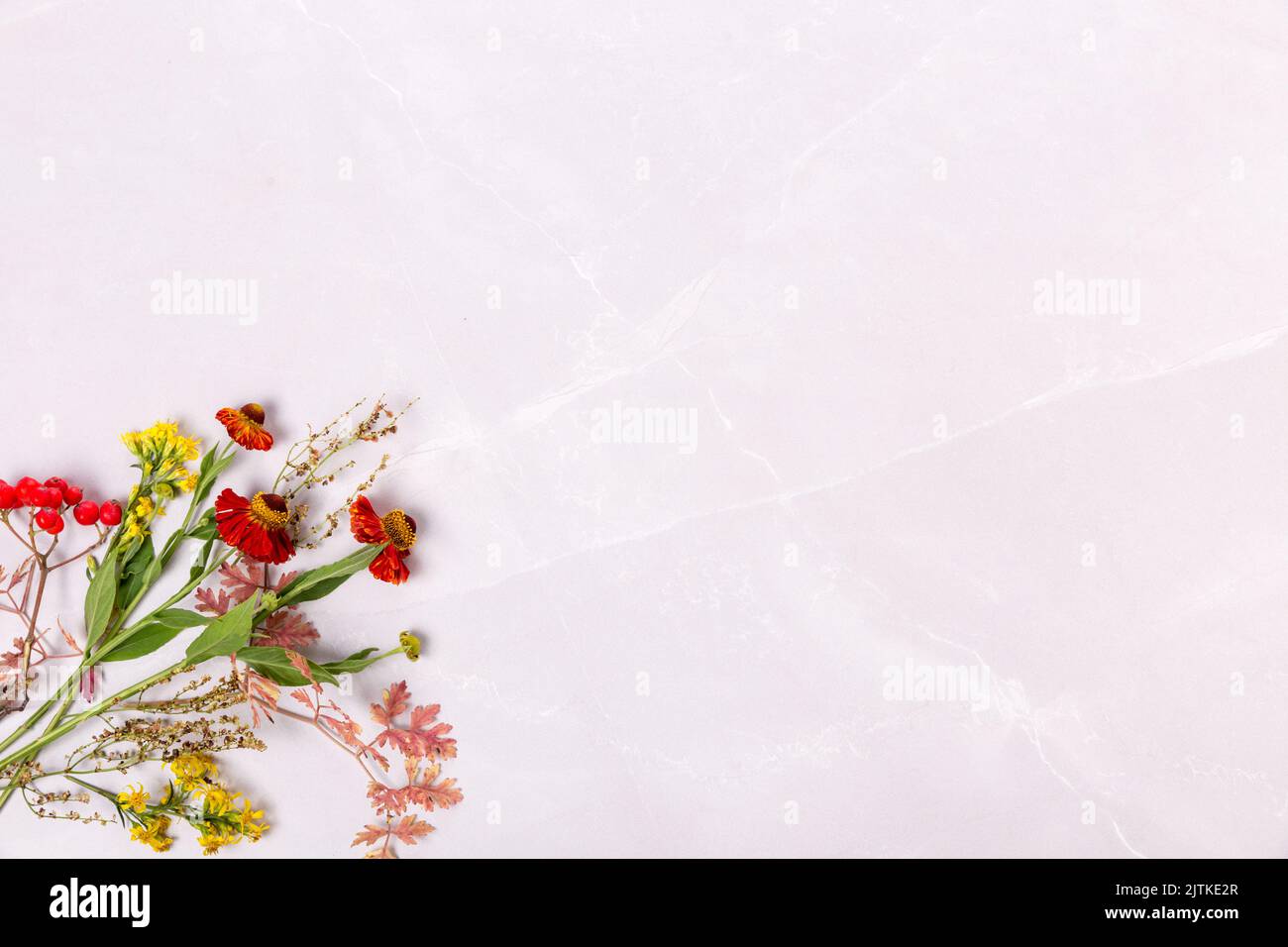 Autumn composition. Frame of autumn flowers, leaves of rowan berries on a stone background. Fall, thanksgiving concept. Flat lay, top view Stock Photo