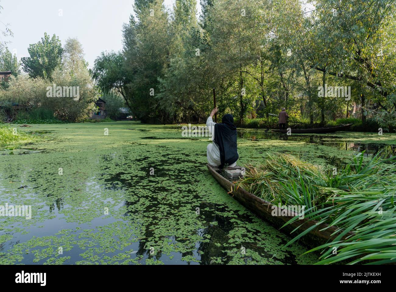 Srinagar, India. 31st Aug, 2022. A woman rows her boat in the interiors of Dal Lake. (Photo by Idrees Abbas/SOPA Images/Sipa USA) Credit: Sipa USA/Alamy Live News Stock Photo