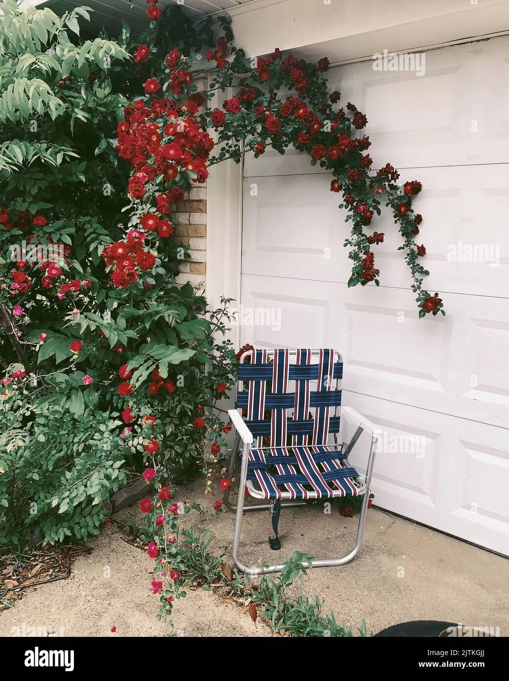 Front garden parking plants hi-res stock photography and images - Alamy