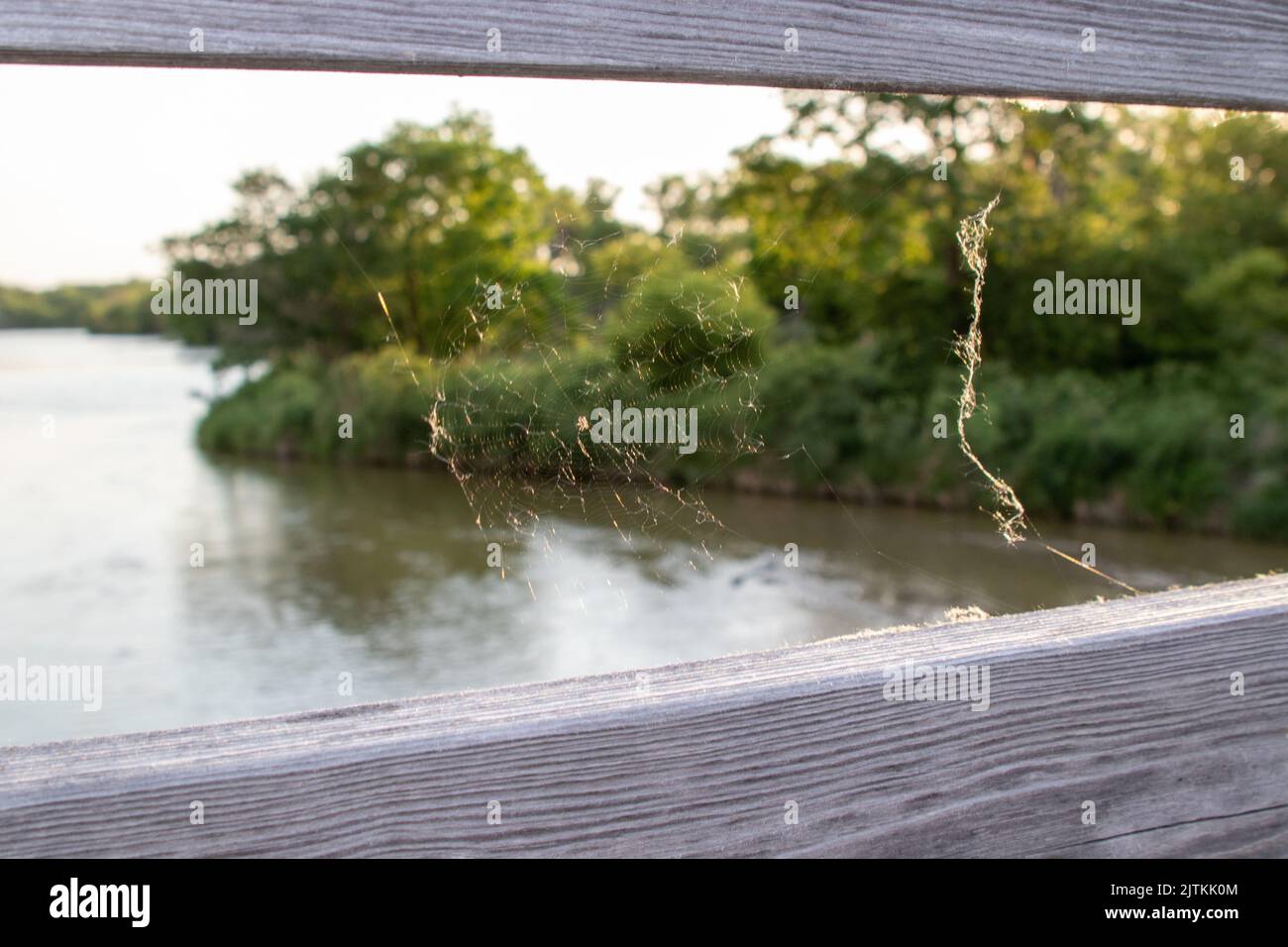A closeup of a small spider web on a wooden surface above a lake surrounded by trees Stock Photo