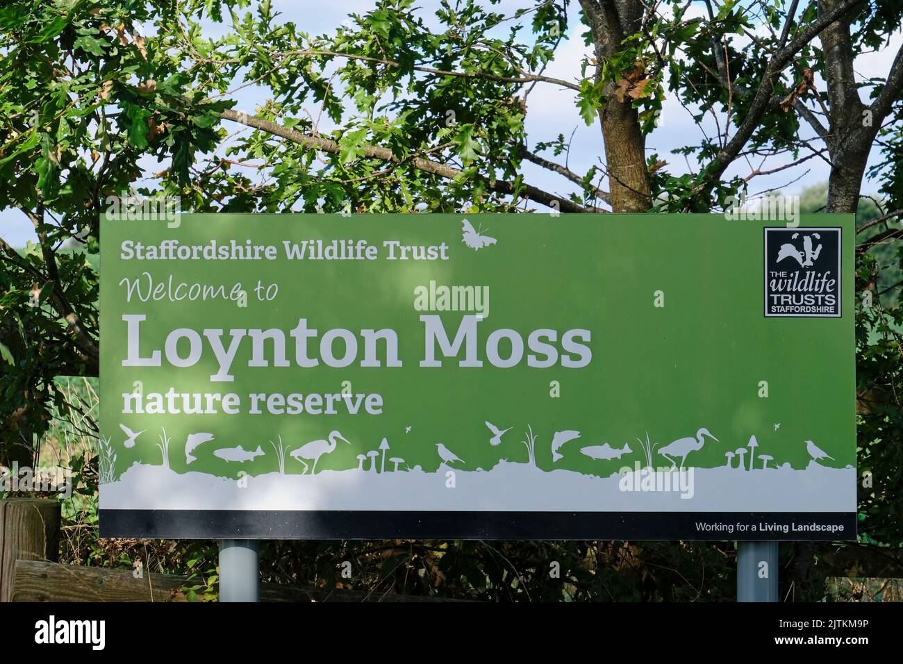 Loynton Moss Stock Photo