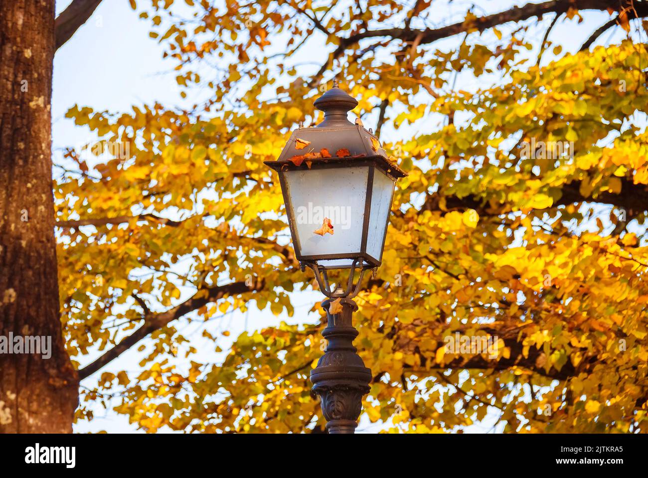 Autumn and foliage in the park. Vintage street lamp among autumnal leaves Stock Photo
