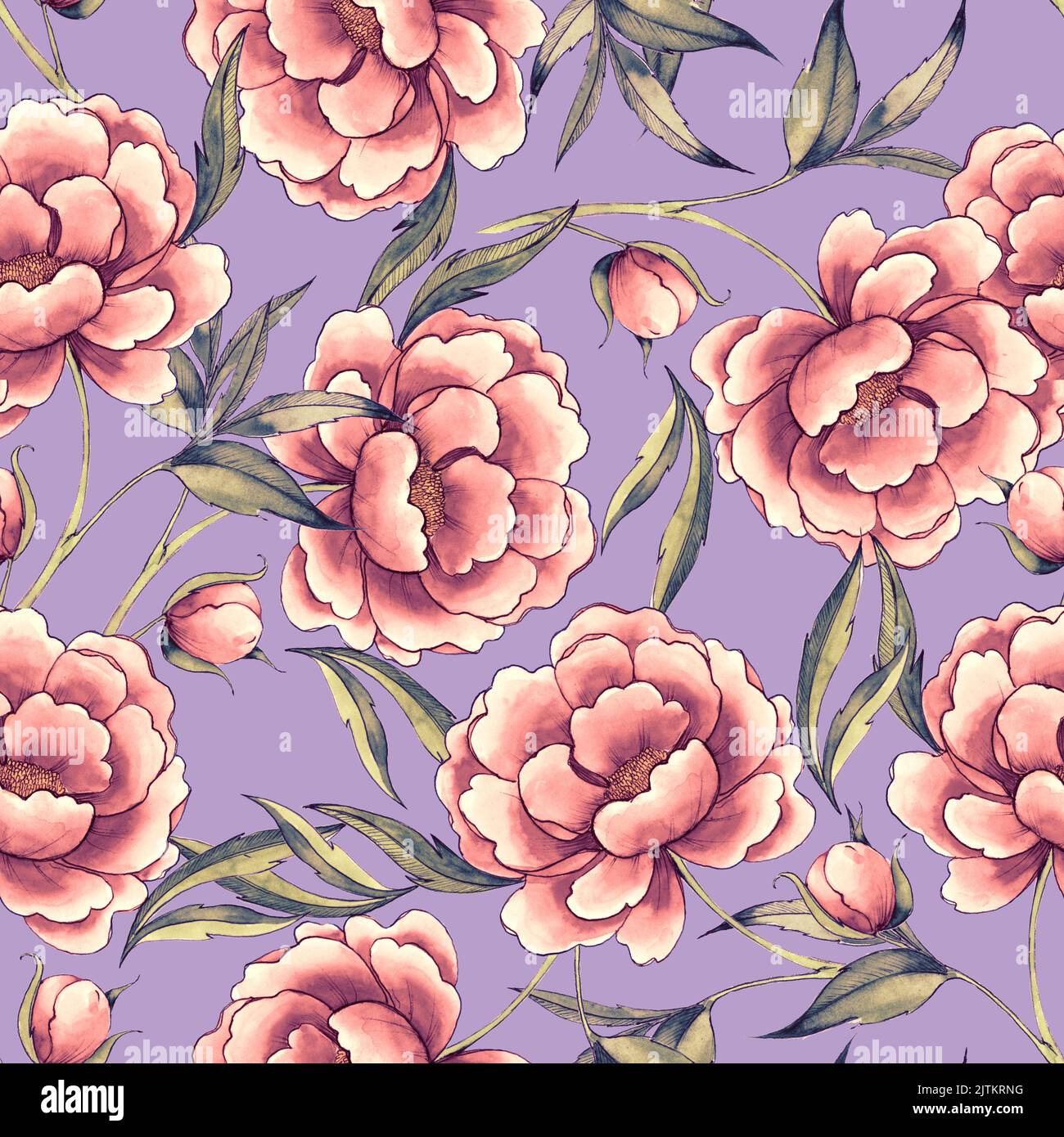 Seamless pattern with hand drawn peony flowers Stock Photo - Alamy