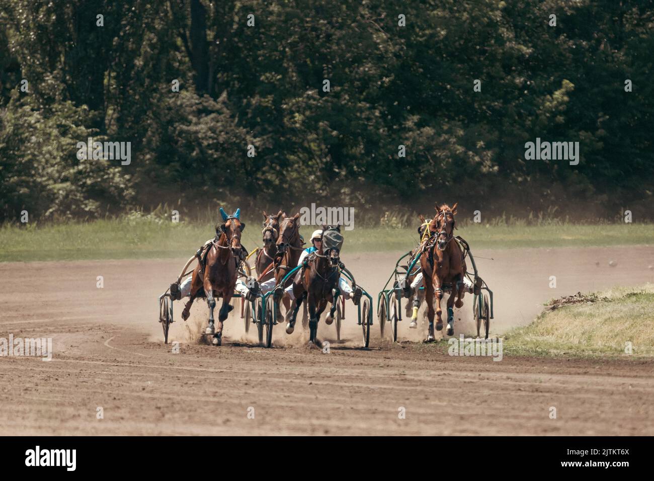 Trotters in sleds. Horse racing on the hippodrome. Graceful animals. Horse race. Equestrian sport. Betting on sports. Stock Photo