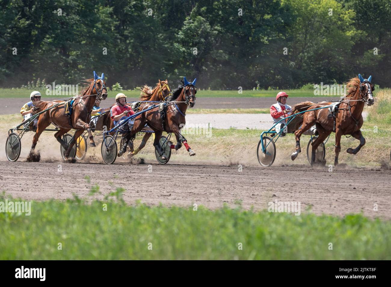 Trotters in sleds. Horse racing on the hippodrome. Graceful animals. Horse race. Equestrian sport. Betting on sports. Stock Photo