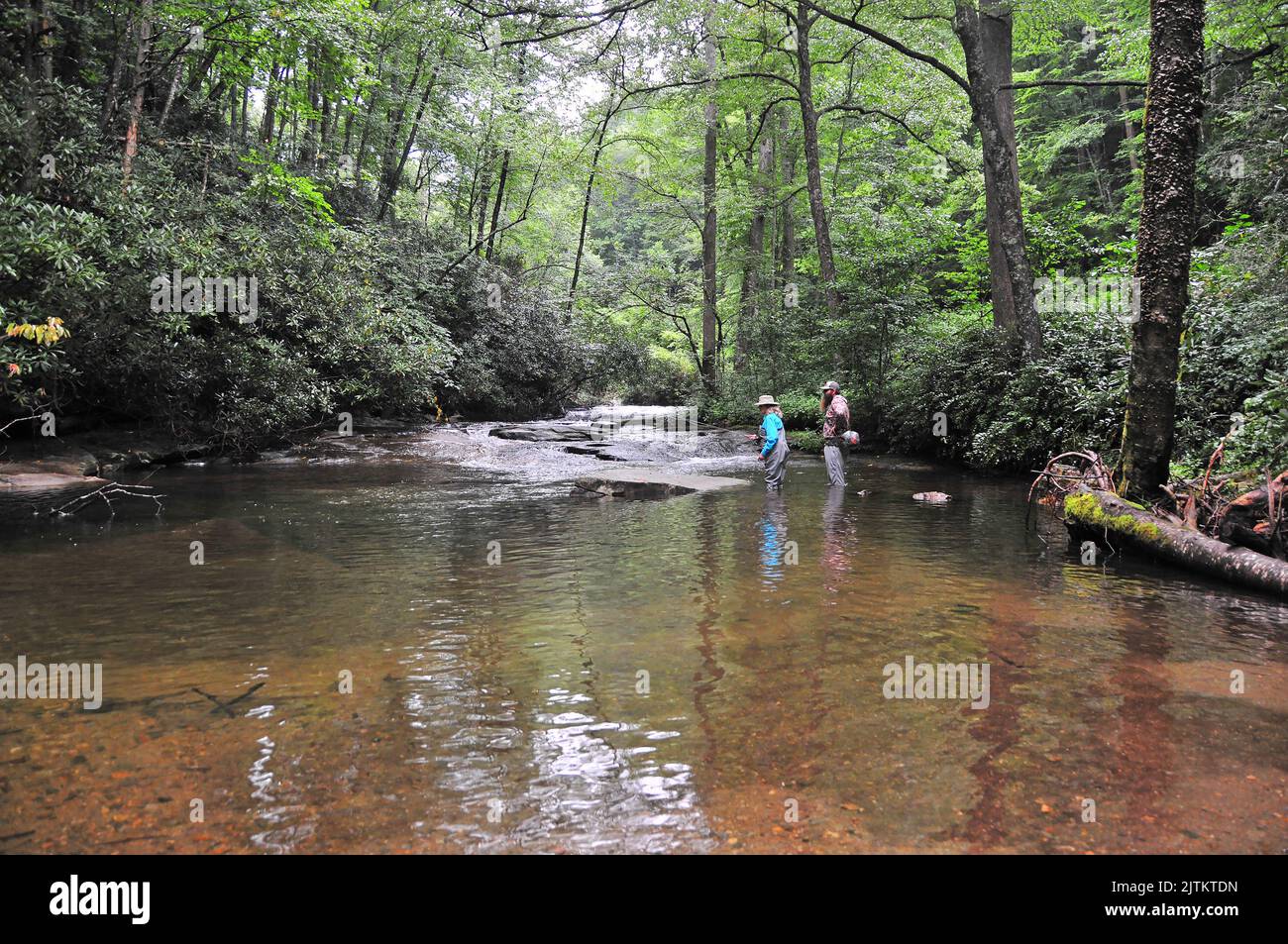 A trout angler with directions from guide works a quiet pool off a