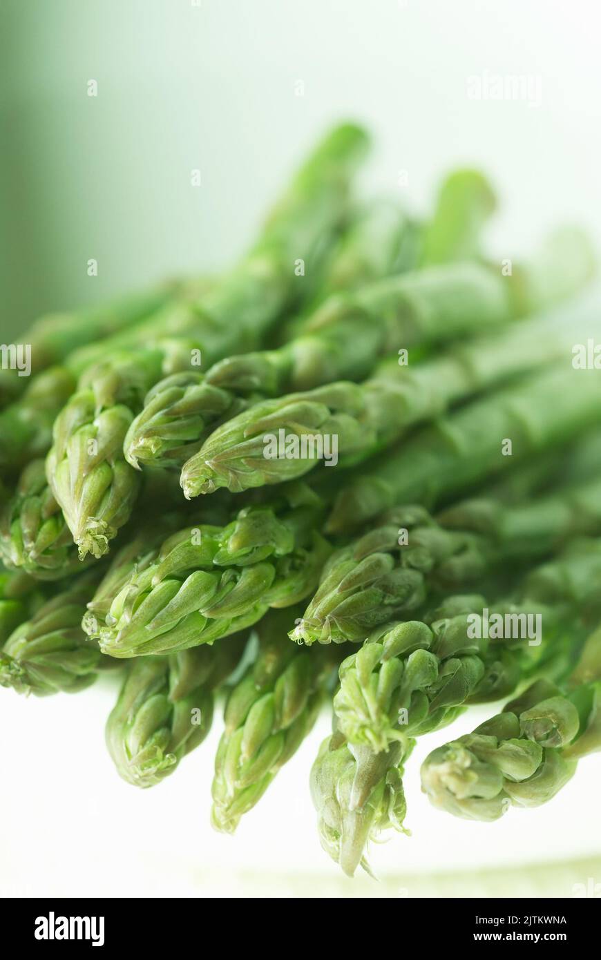 Closeup of a bunch of raw asparagus Asparagus officinalis Stock Photo