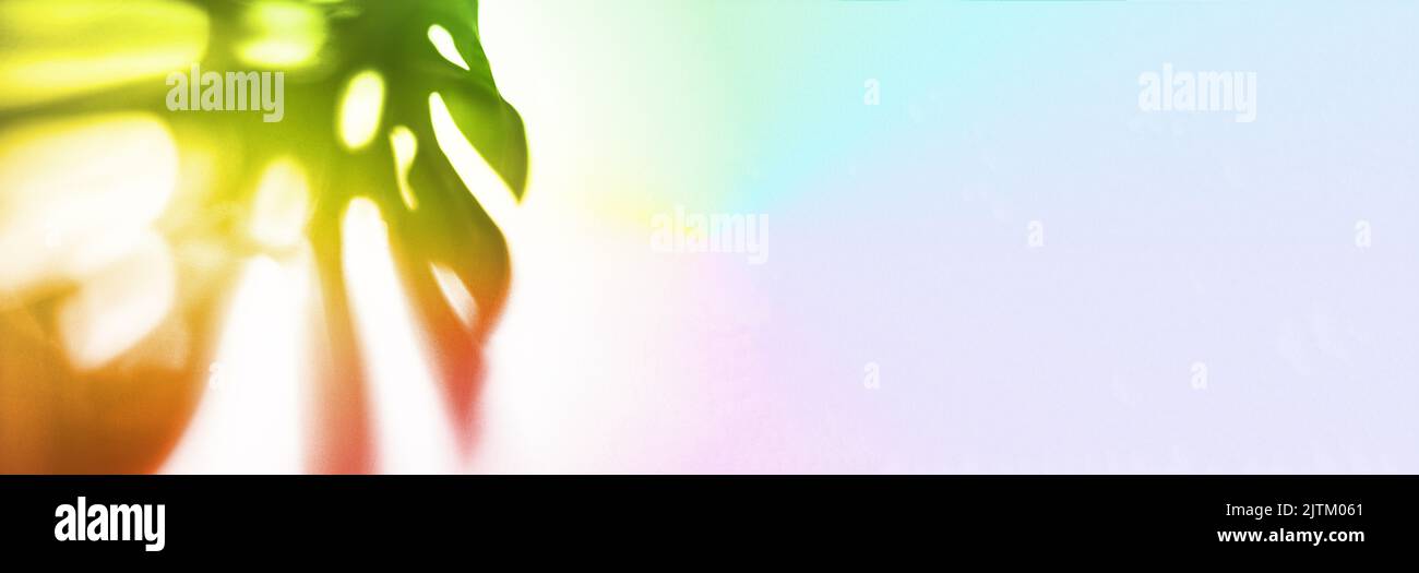 Banner. The shadow of a tropical monstera leaf is painted in a rainbow color on a rainbow fabric background. With a space to copy. A template for your product. High quality photo Stock Photo