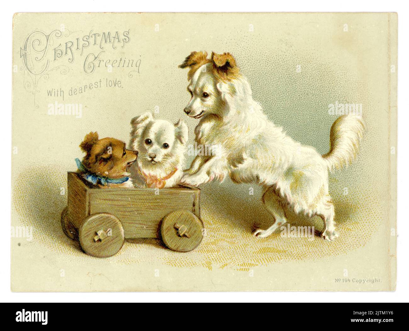 Original, charming Victorian Christmas card, greetings card of cute terrier dog pushing two puppies in a toy wooden truck or cart, Christmas Greeting with dearest love, circa 1890's, U.K. Stock Photo