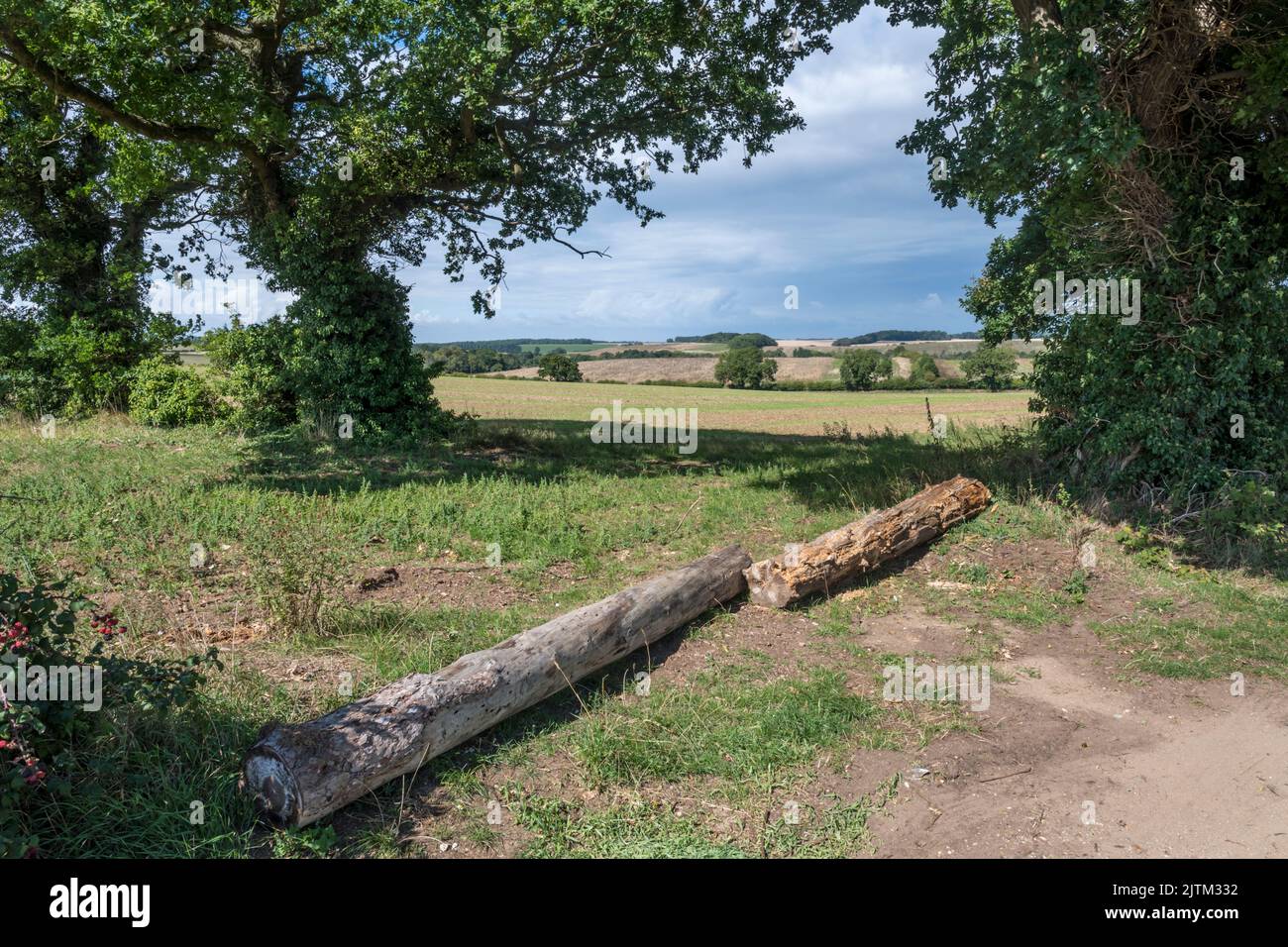 Logs blocking a field entrance in Norfolk to prevent unwanted use by off-road vehicles and joy riders. Stock Photo