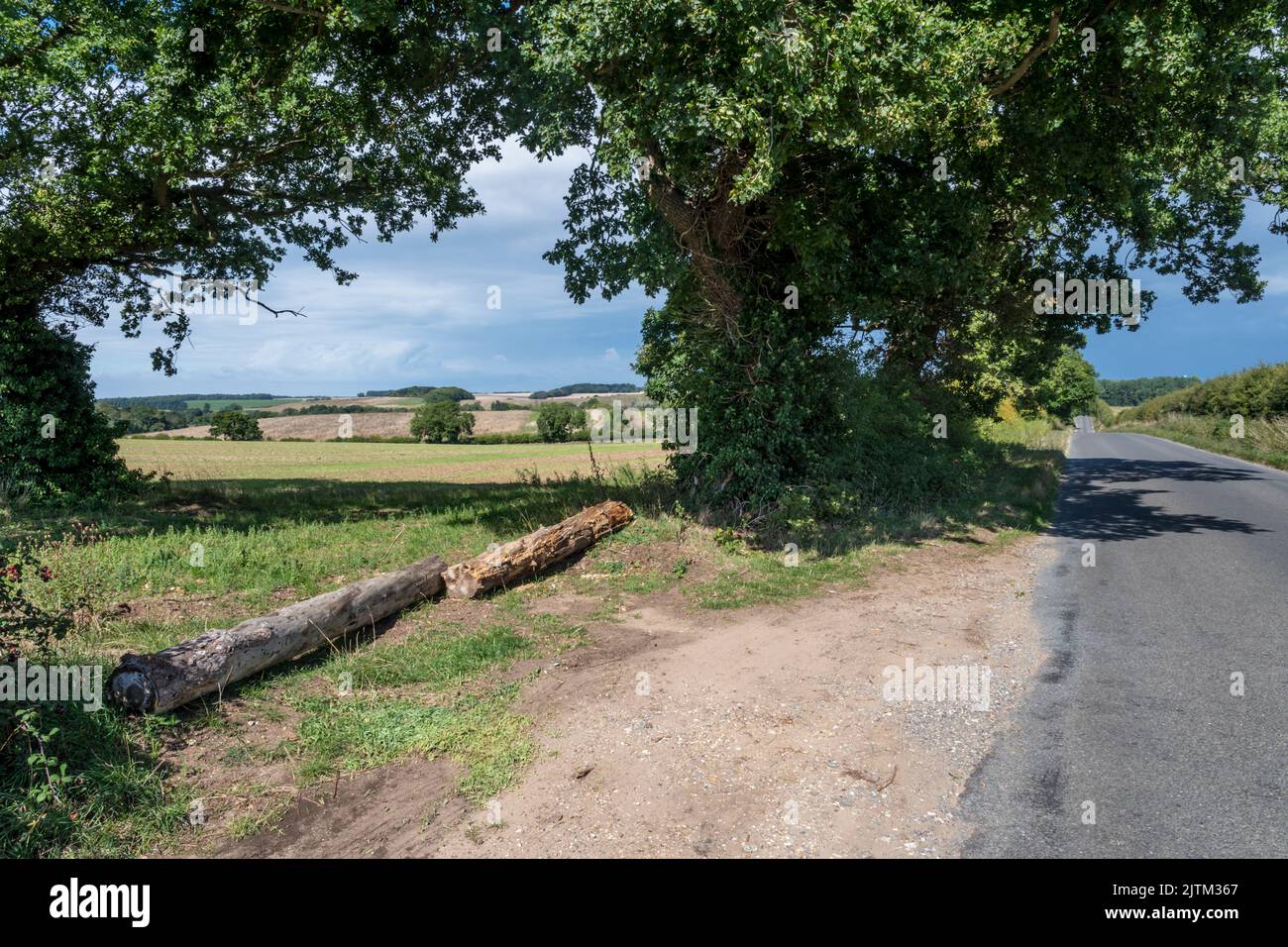Logs blocking a field entrance by a country lane  in Norfolk to prevent unwanted use by off-road vehicles and joy riders. Stock Photo