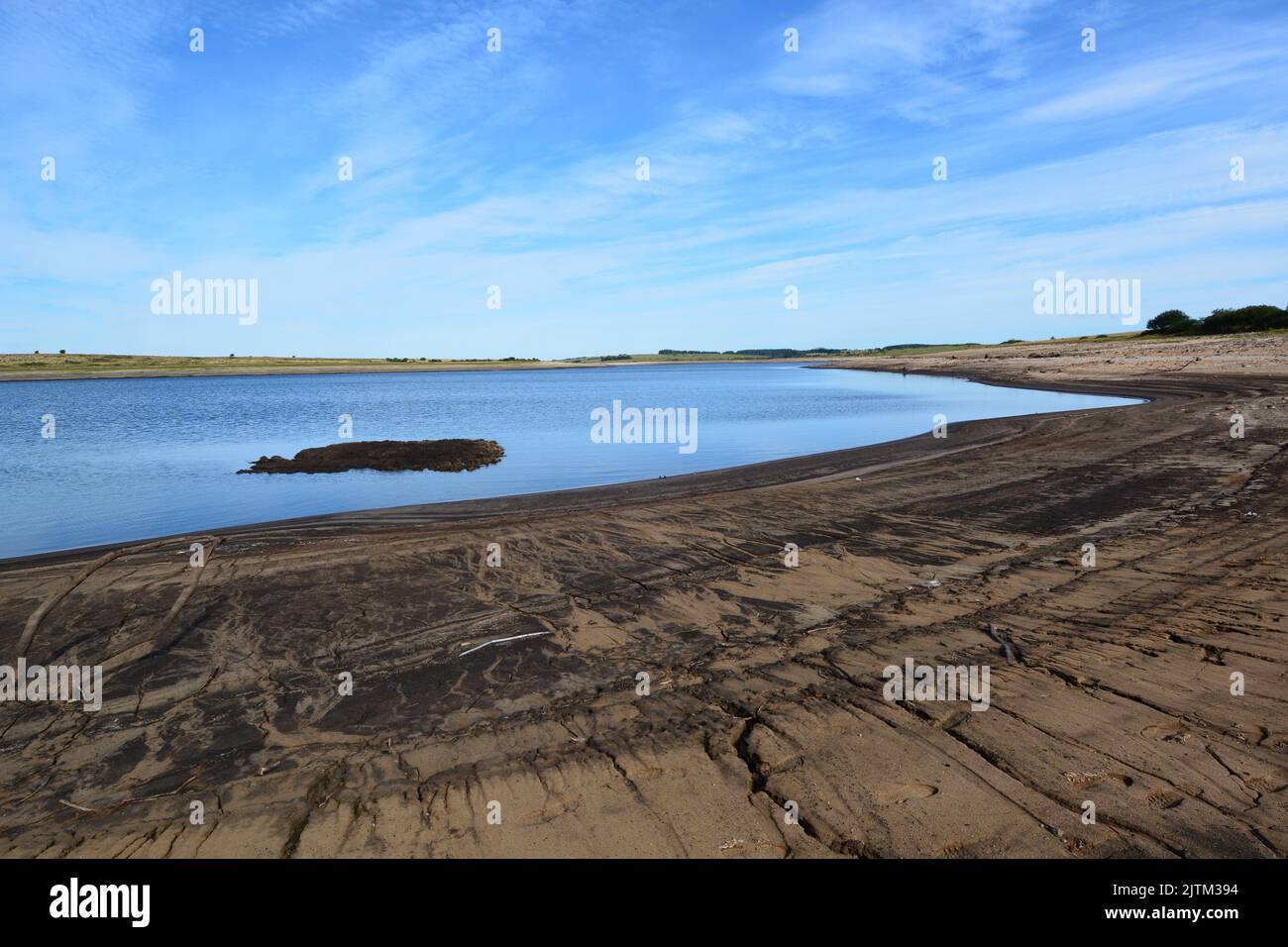 Image showcasing Document-Clusterer/data/one-grams.txt at master - GitHub