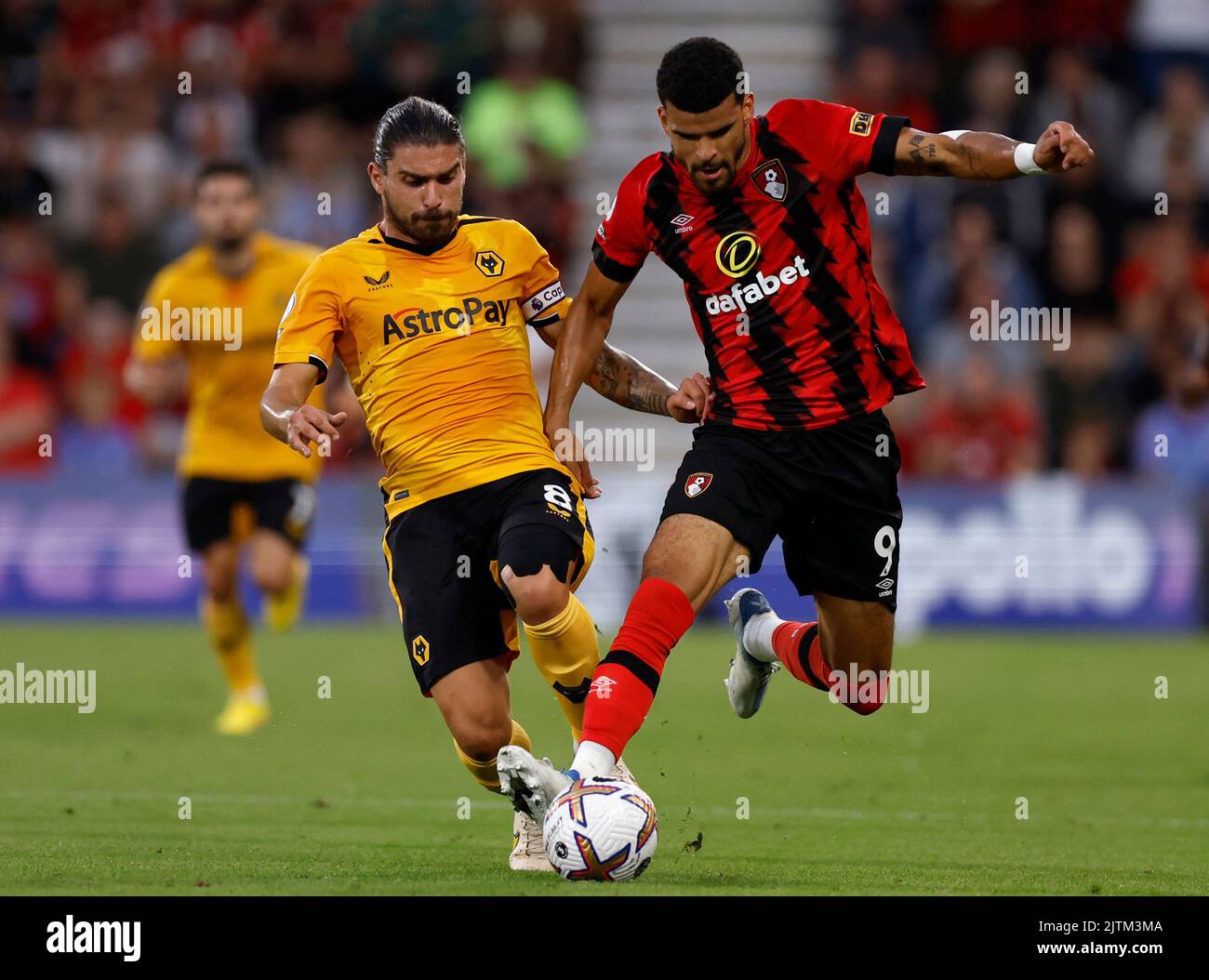 August 2022 solanke hi-res stock photography and images - Alamy