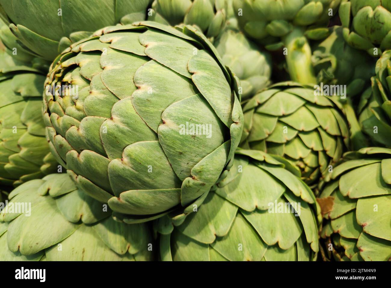 Close-up on a stack of artichokes on a market stall. Stock Photo