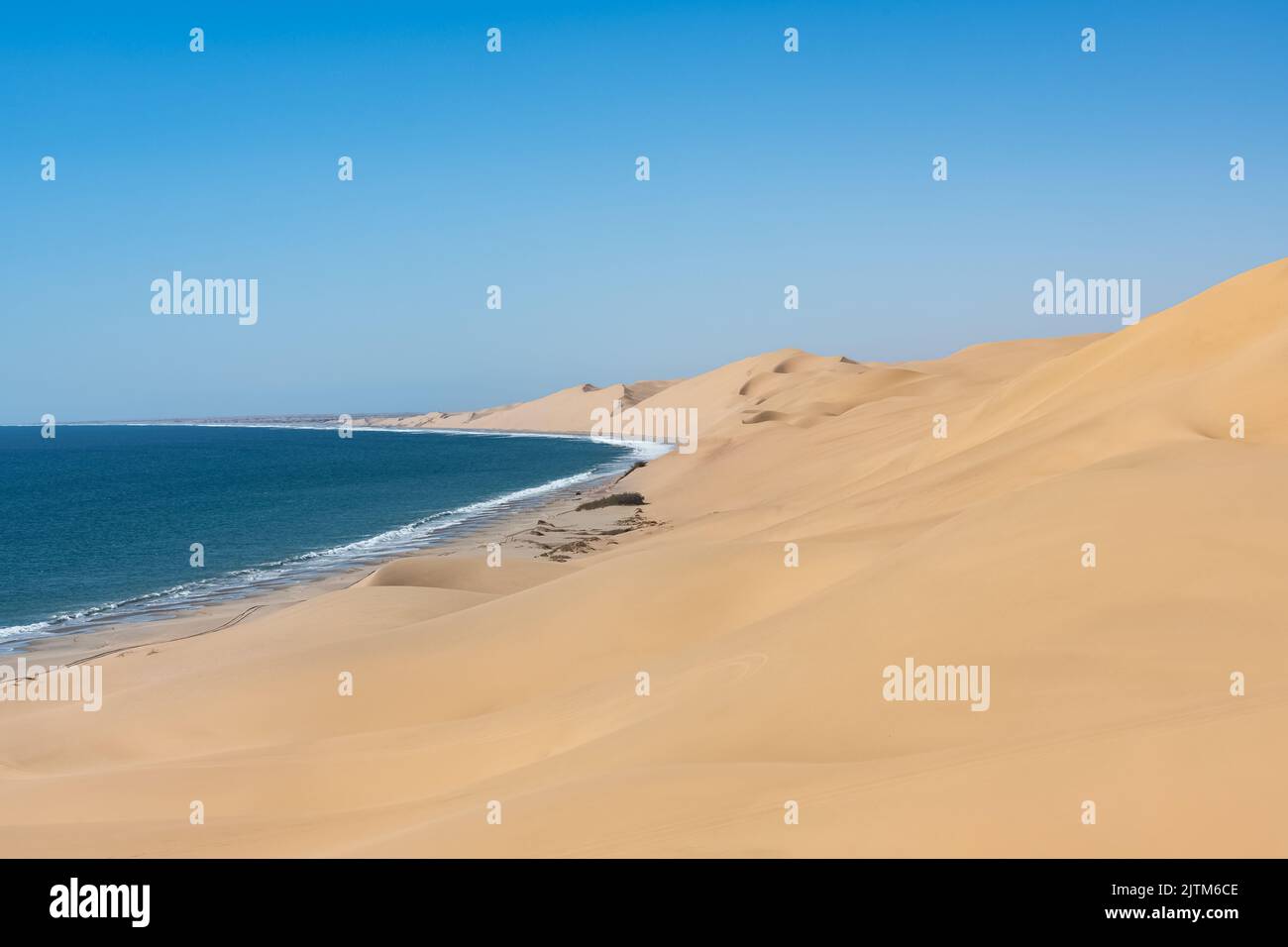 Namibia, the Namib desert, landscape of yellow dunes falling into the ...