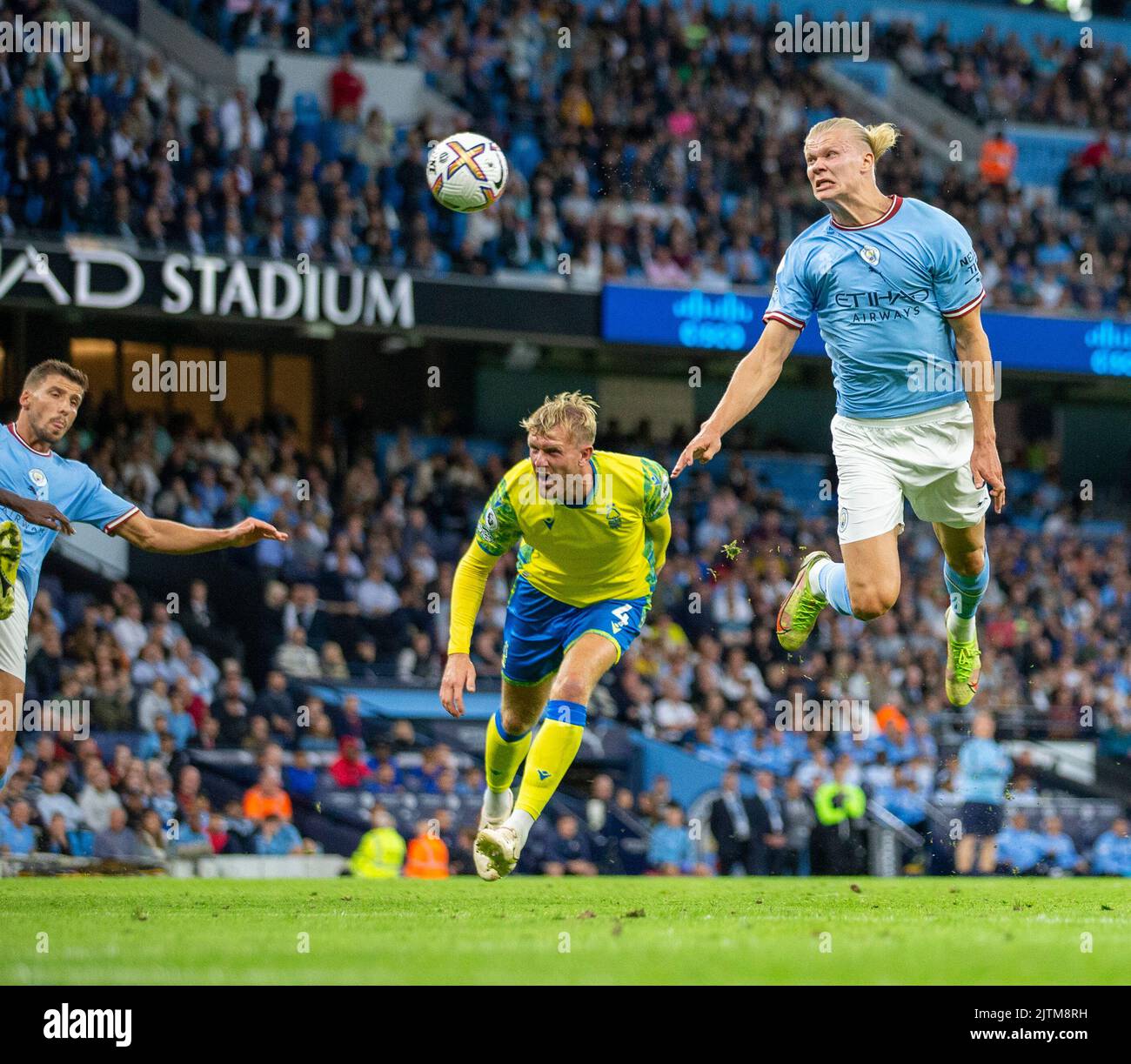 Haaland goal forest hires stock photography and images Alamy