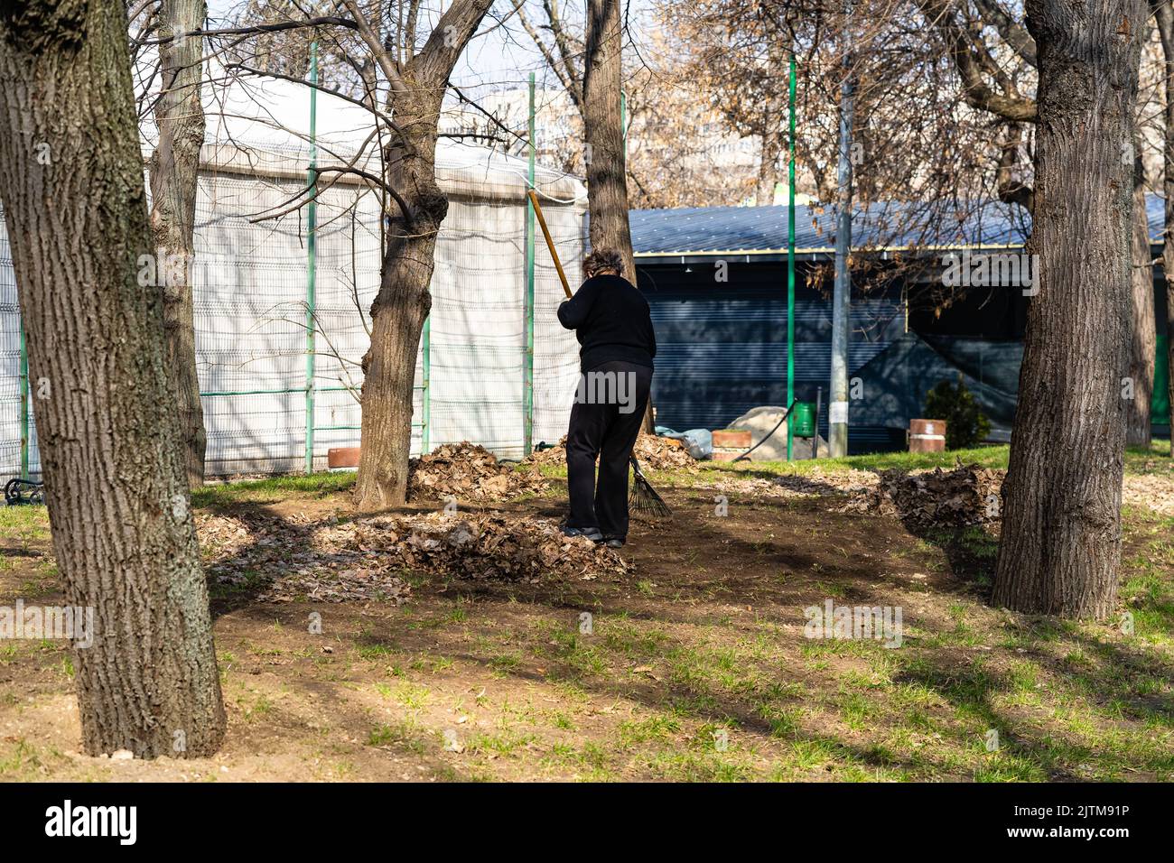 Tineretului park in Bucharest, Romania Stock Photo Alamy