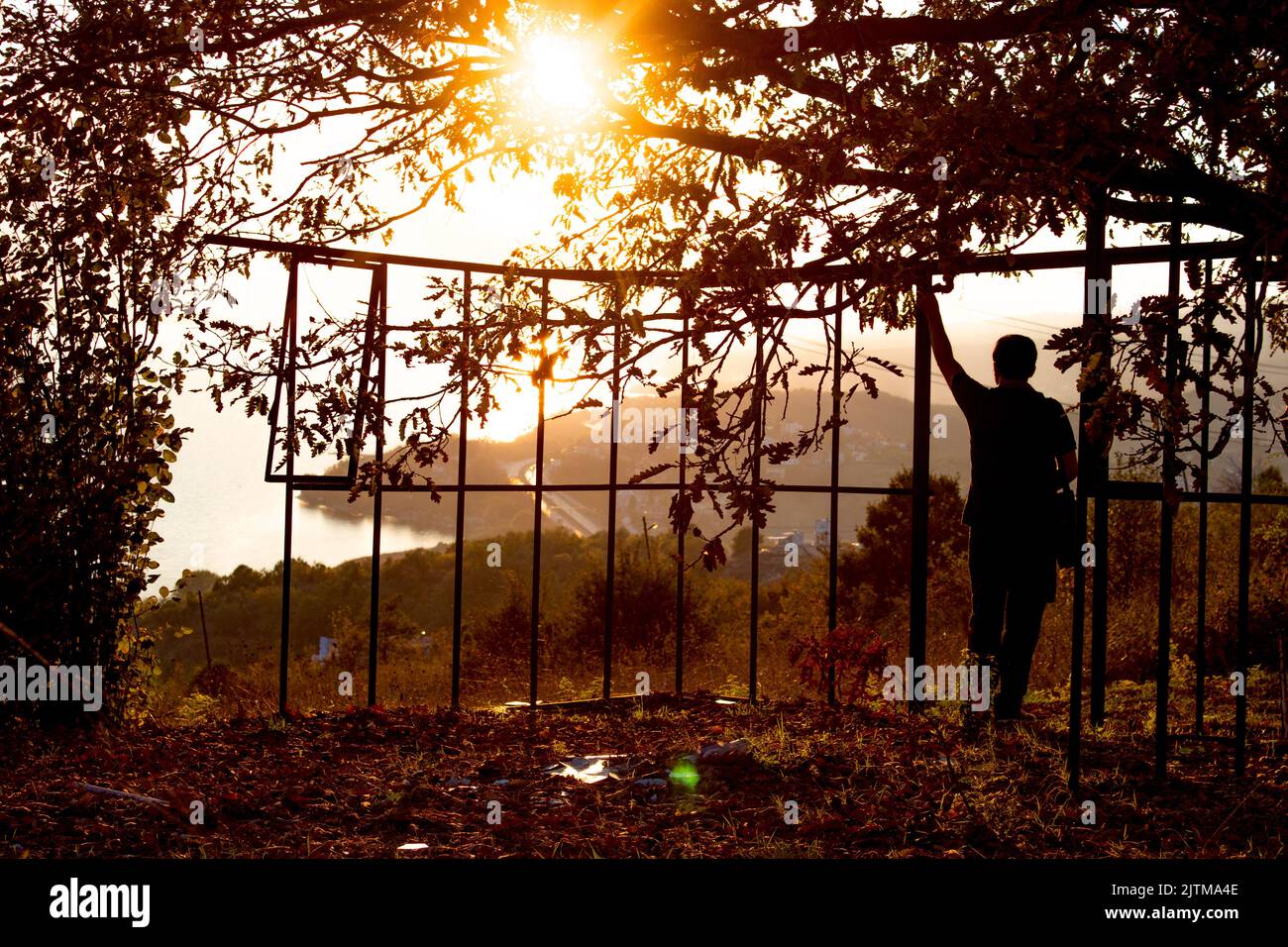 A thinking man looking at the sunset. Man and tree silhouette shot in backlight . Overlooking the sunset view. Orange and autumn.selective focus. Stock Photo