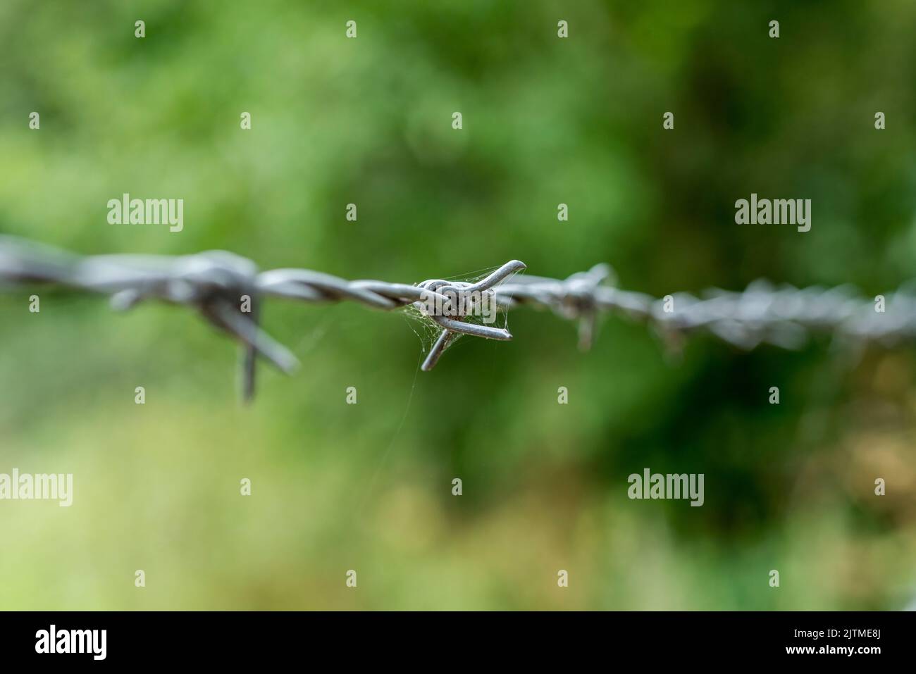 A barbed wire fence protects the farm fields behind it in England UK