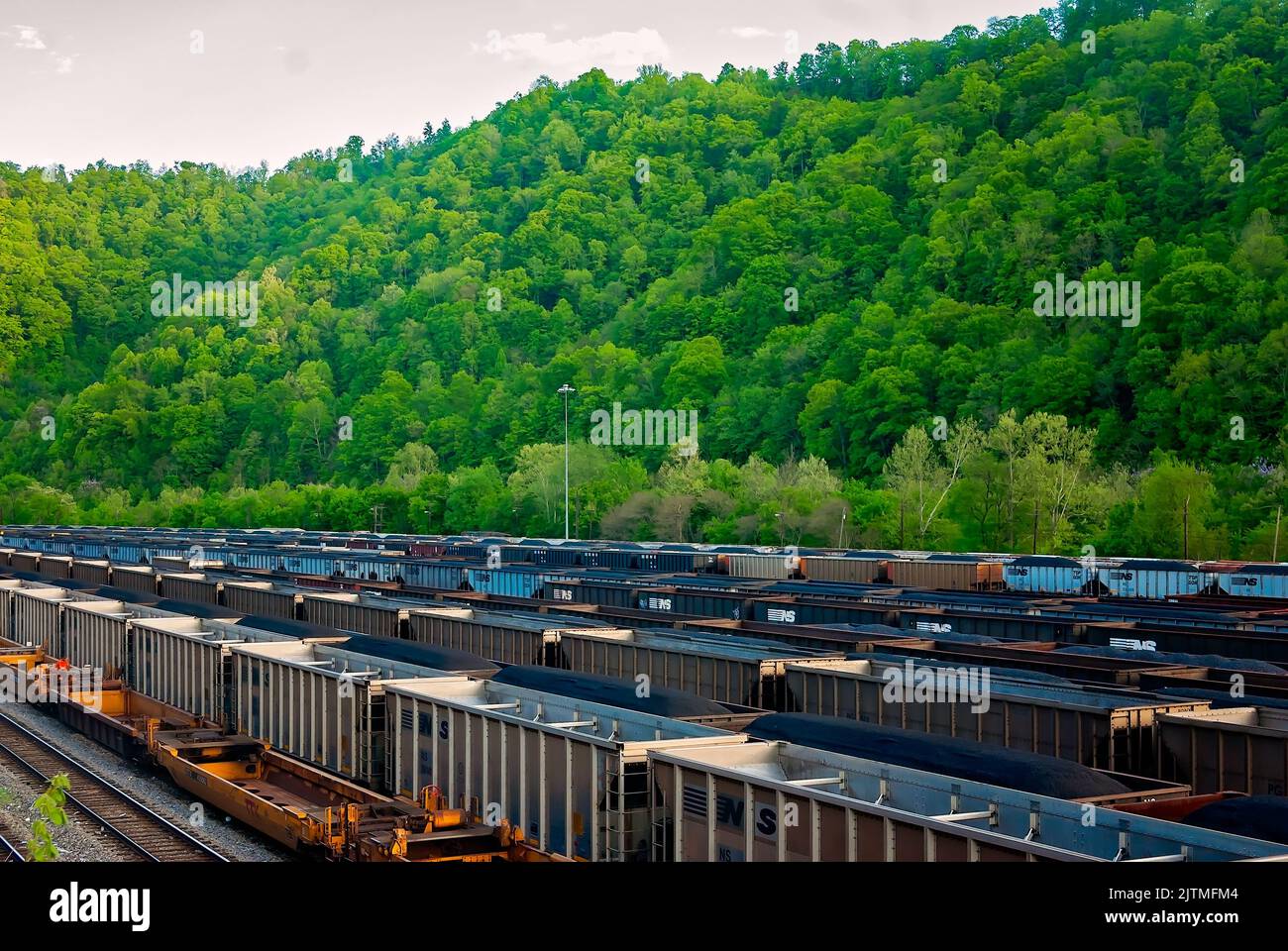 Norfolk Southern Railway cars filled with coal are pictured at the