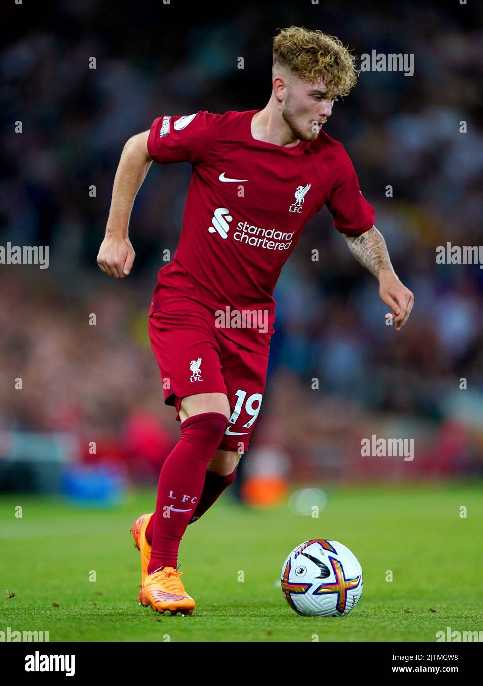 Liverpool's Harvey Elliott during the Premier League match at Anfield, Liverpool. Picture date