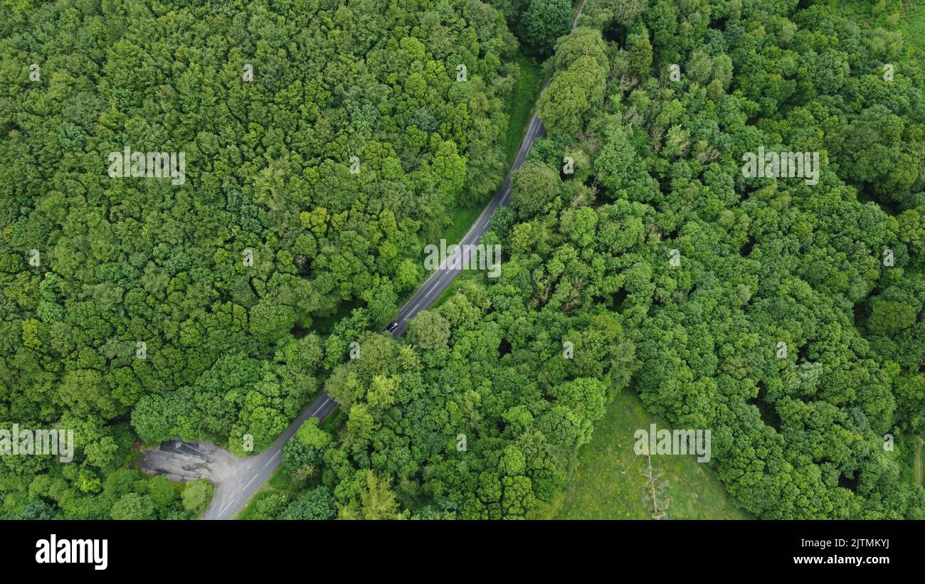 An aerial view of a road surrounded by dense green trees in Ireland