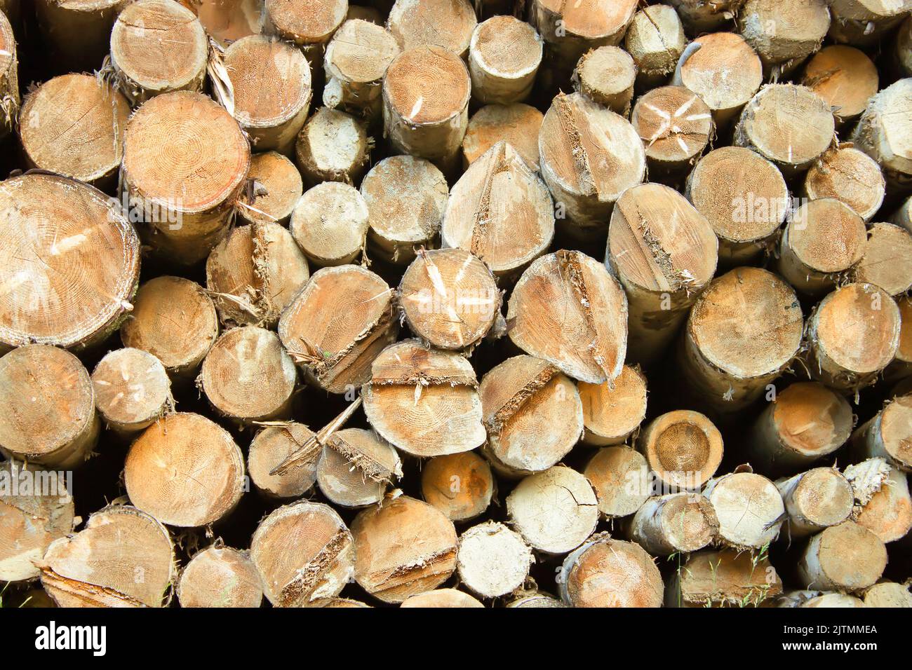 the stack of the dry firewood for furnace kindling Stock Photo