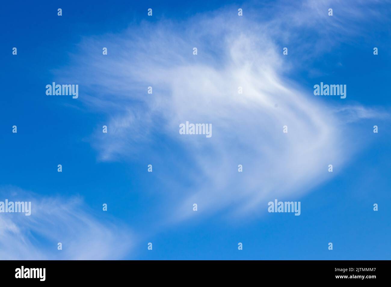 Goat-like cloud clouds that look different. Thin cloud on blue sky in background.Cloud shapes. copy text area. Stock Photo
