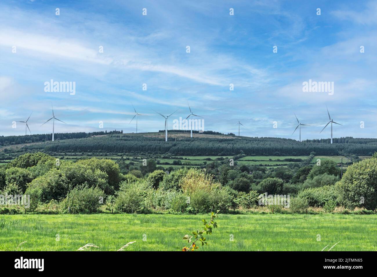 A small wind farm in Drinagh near Lough Ree in the Irish midlands. Stock Photo