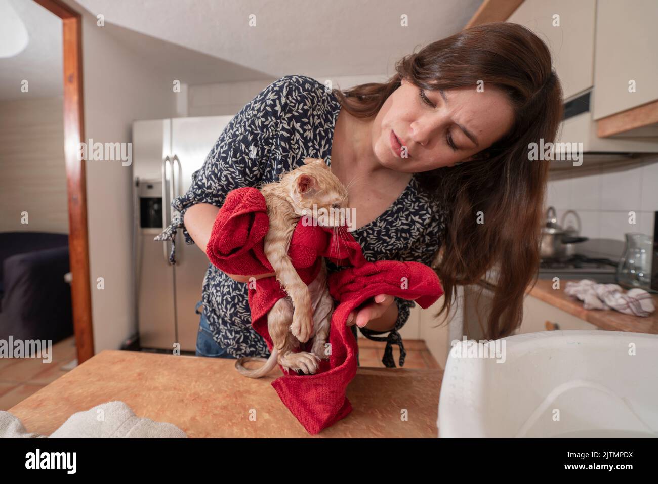 Beautiful young Hispanic woman dressed in a black blouse carefully drying her little light brown baby kitten with a red towel after having bathed her Stock Photo