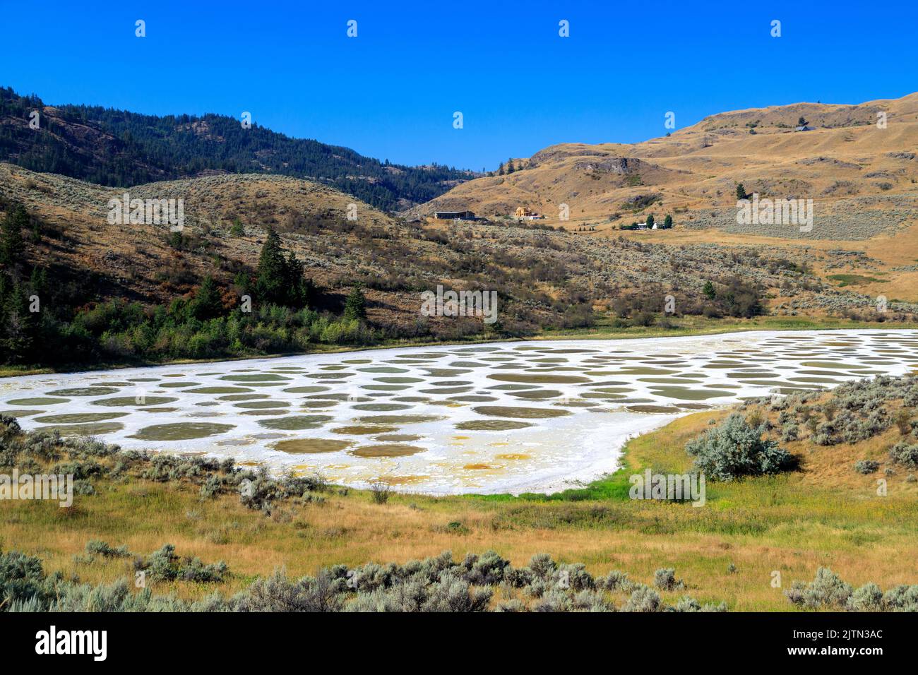 Spotted Lake is a saline endorheic alkali lake located northwest of