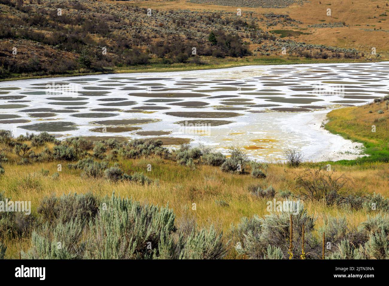 Spotted Lake is a saline endorheic alkali lake located northwest of Osoyoos in the eastern