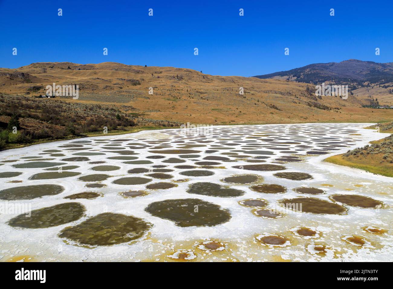 Spotted Lake is a saline endorheic alkali lake located northwest of