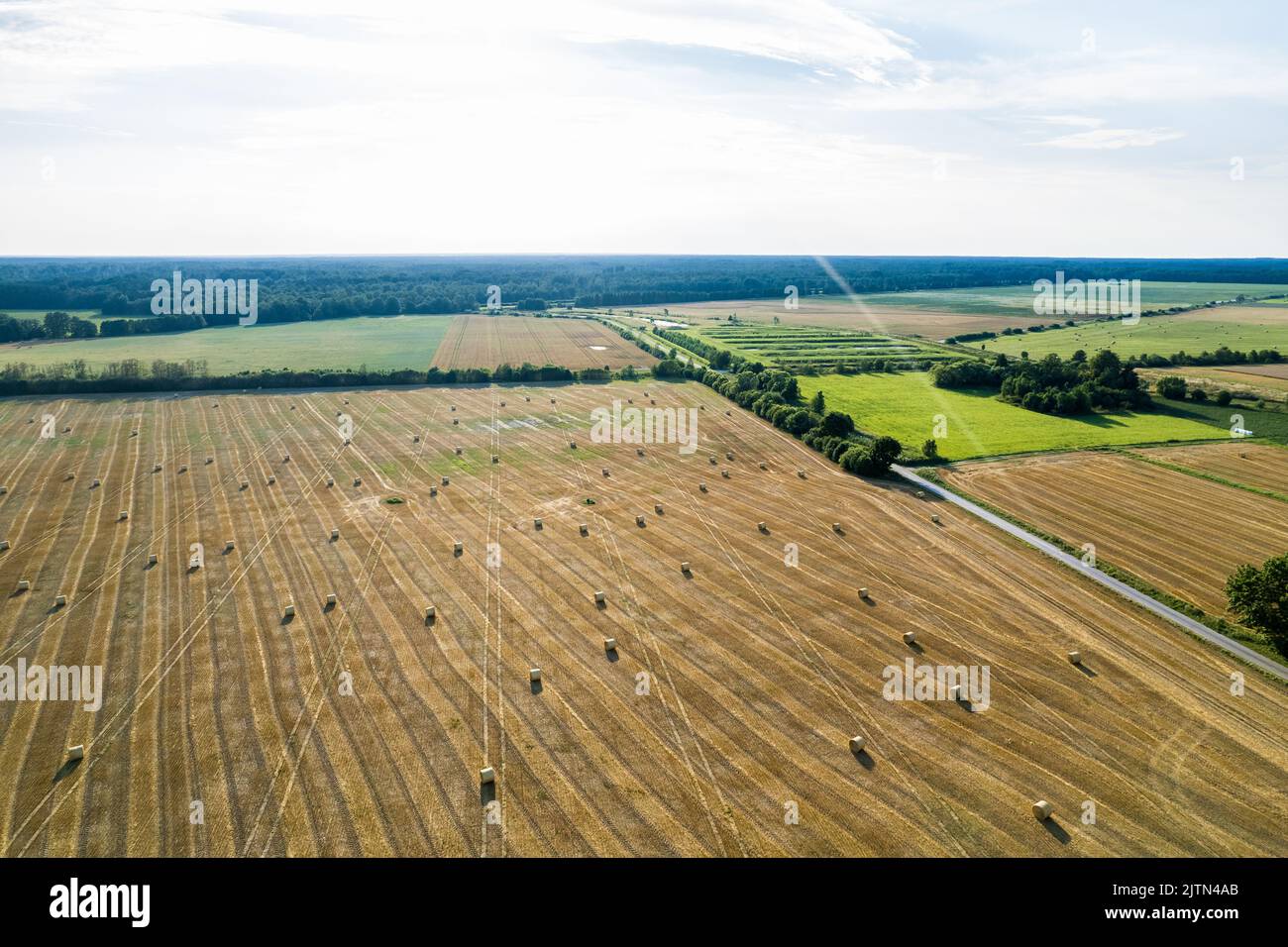 Aerial view of hay bales in the field during hot summer day. Stock Photo