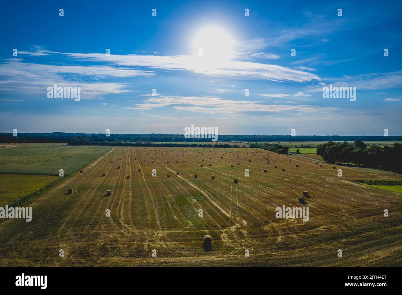 Aerial view of hay bales in the field during hot summer day Stock Photo ...