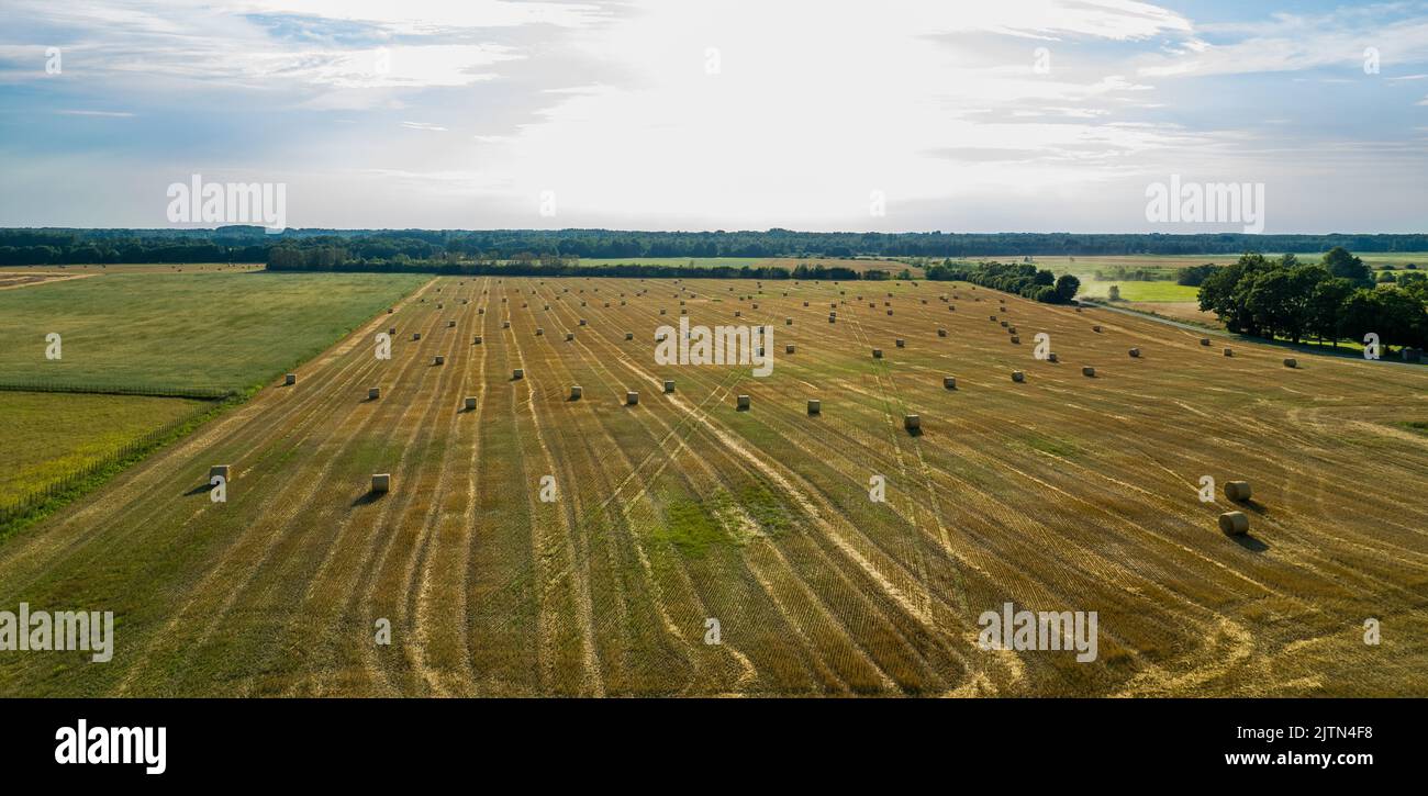 Aerial view of hay bales in the field during hot summer day Stock Photo ...