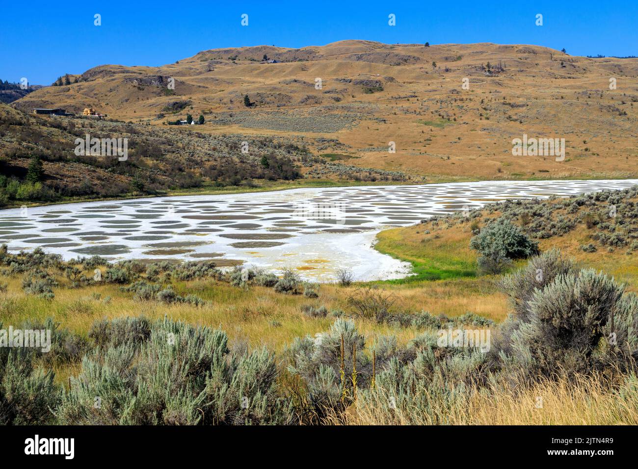 Spotted Lake is a saline endorheic alkali lake located northwest of Osoyoos in the eastern