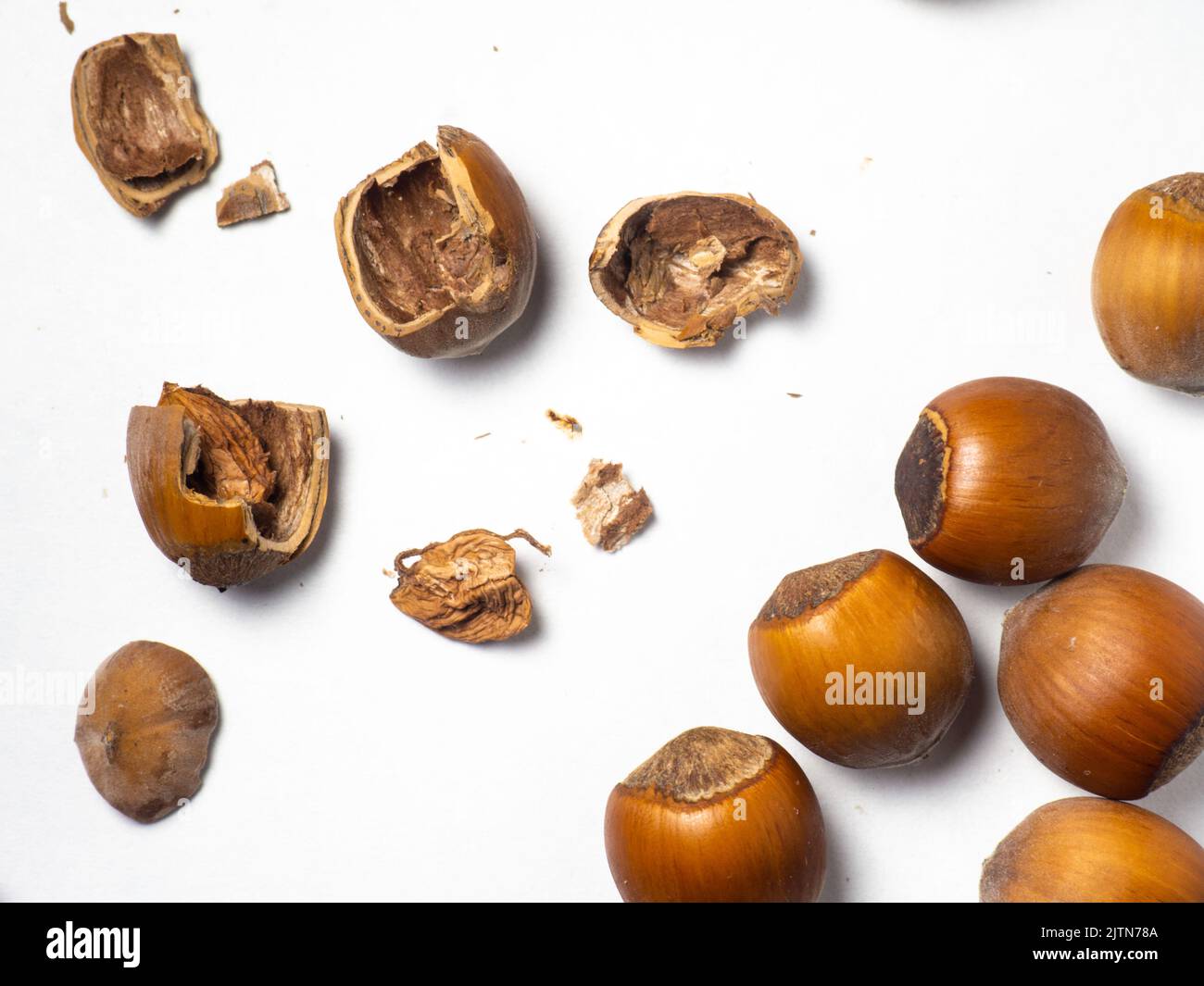 Hazelnuts on a white background. Nuts in a shell. Snack. Healthy diet. Ingredients for preparing a healthy lunch. Broken walnut. Stock Photo
