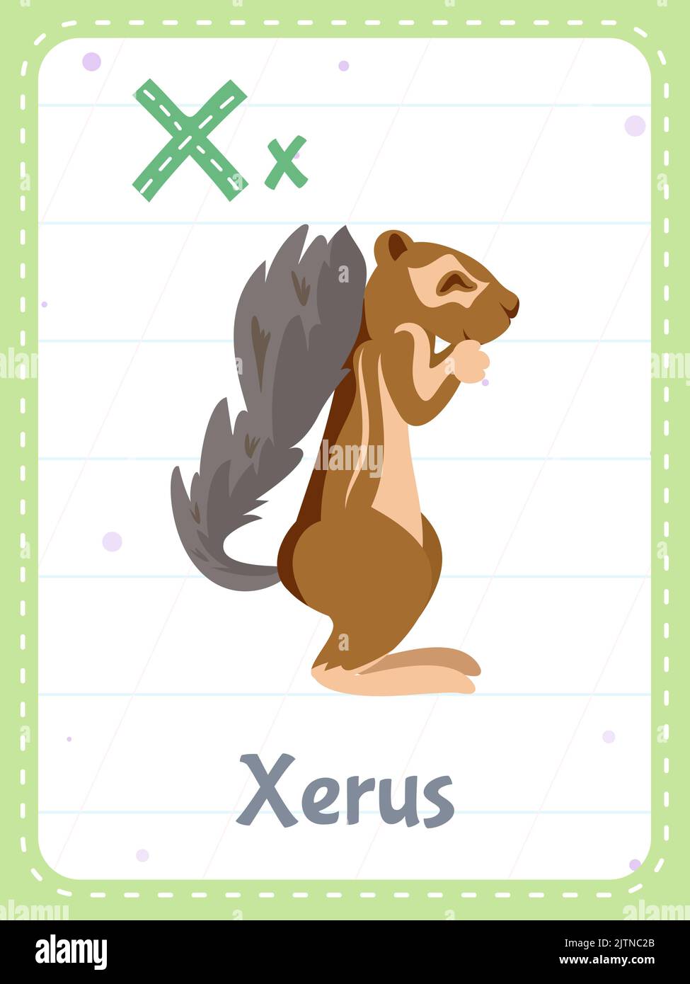 Letter xerus cartoon illustration hi-res stock photography and images -  Alamy