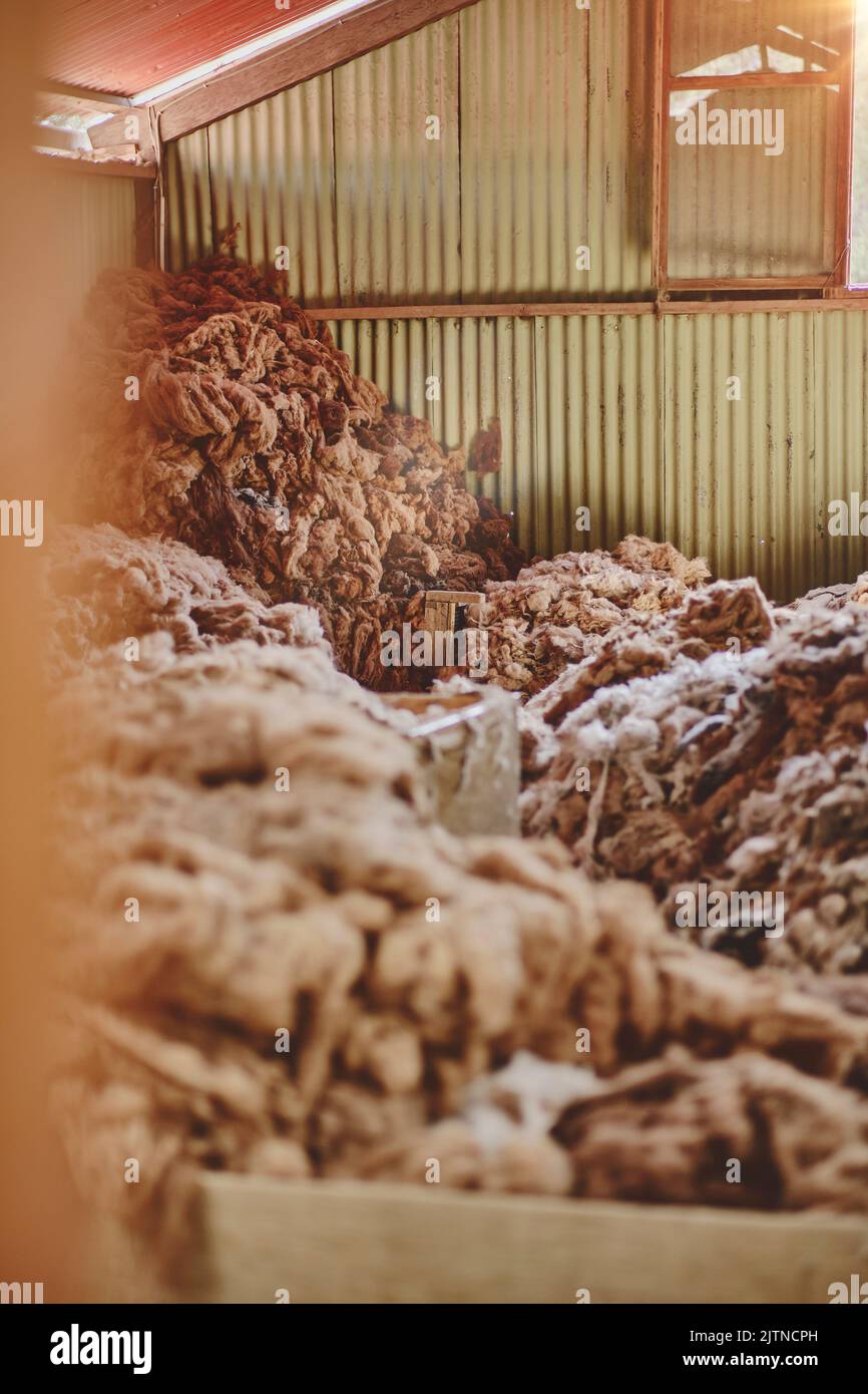 Wool production hi-res stock photography and images - Alamy