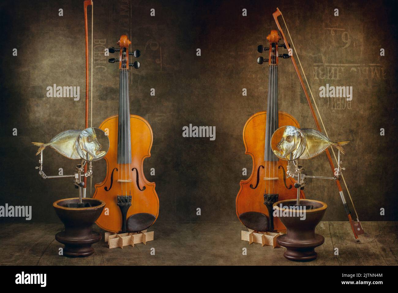 Still life with fish and violin. Stylization Stock Photo - Alamy