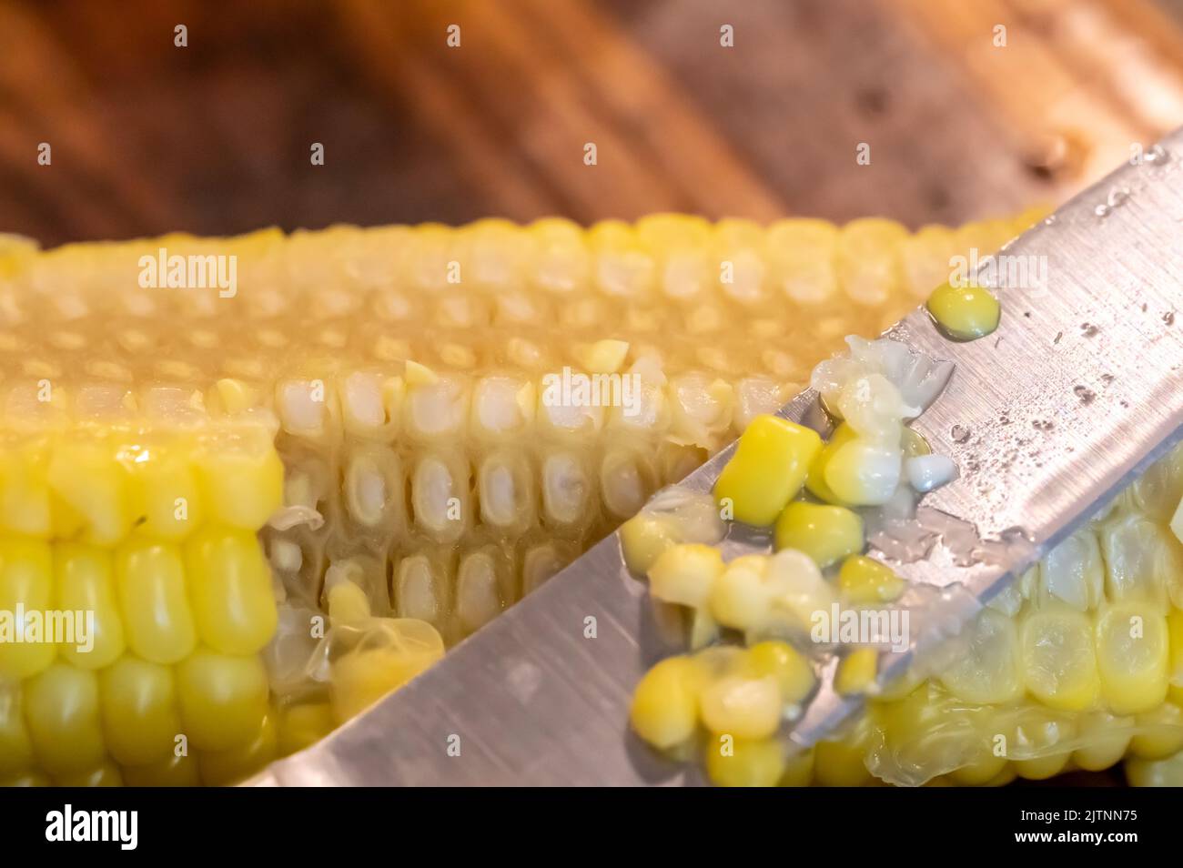 Using a knife to remove kernels from the cob of an ear of sweet corn