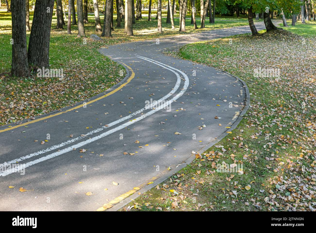 winding bicycle lane covered by fallen yellow leaves. autumn park landscape in sunny day. Stock Photo