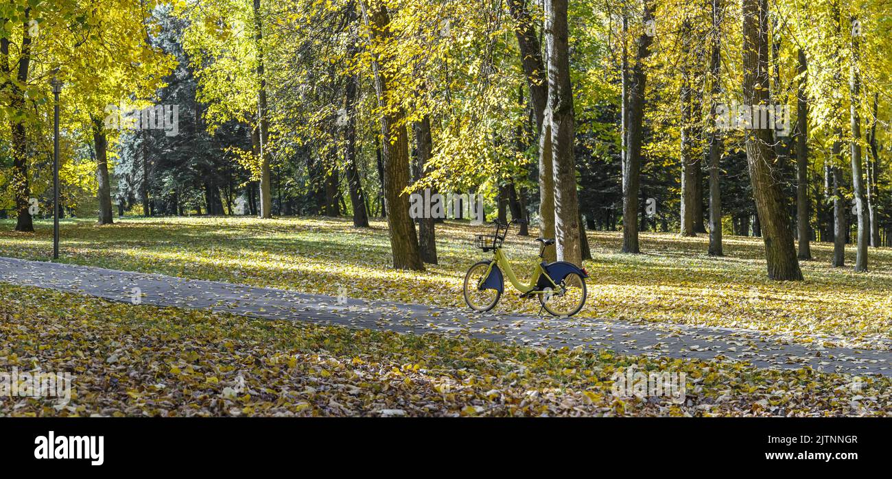 yellow city rent-a-bike parked on footpath in city park at sunny autumn day. panoramic image. Stock Photo