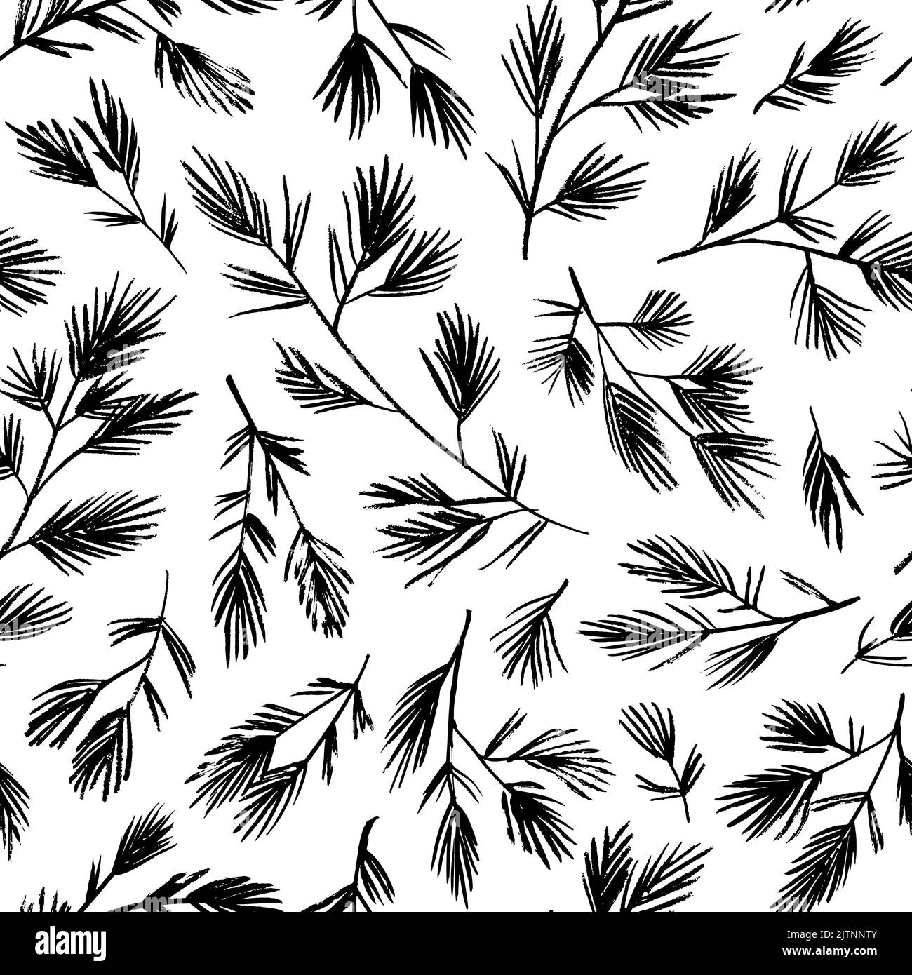 Seamless pattern with spruce and pine tree branch Stock Vector