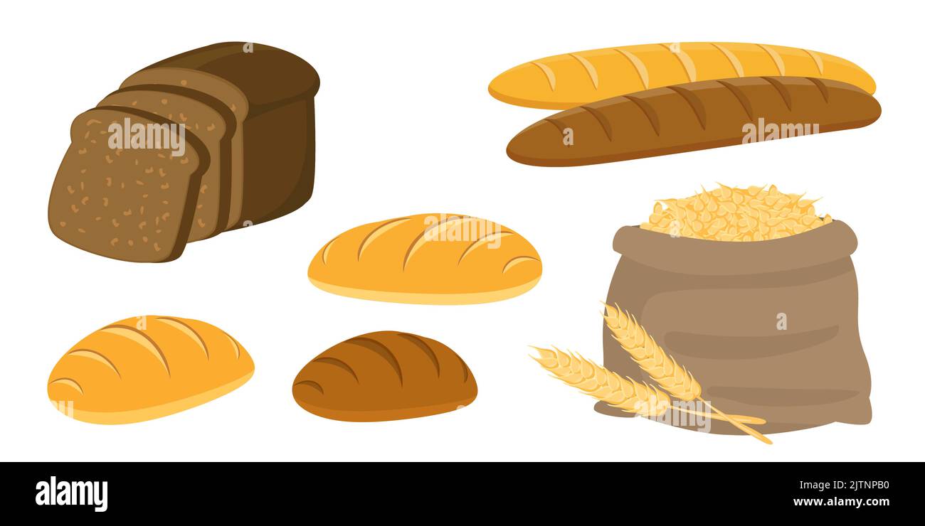 Collection set of food bakery bread Stock Vector Image & Art - Alamy