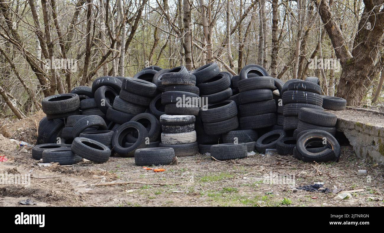 Dump of old used car rubber tires in the spring  forest Stock Photo
