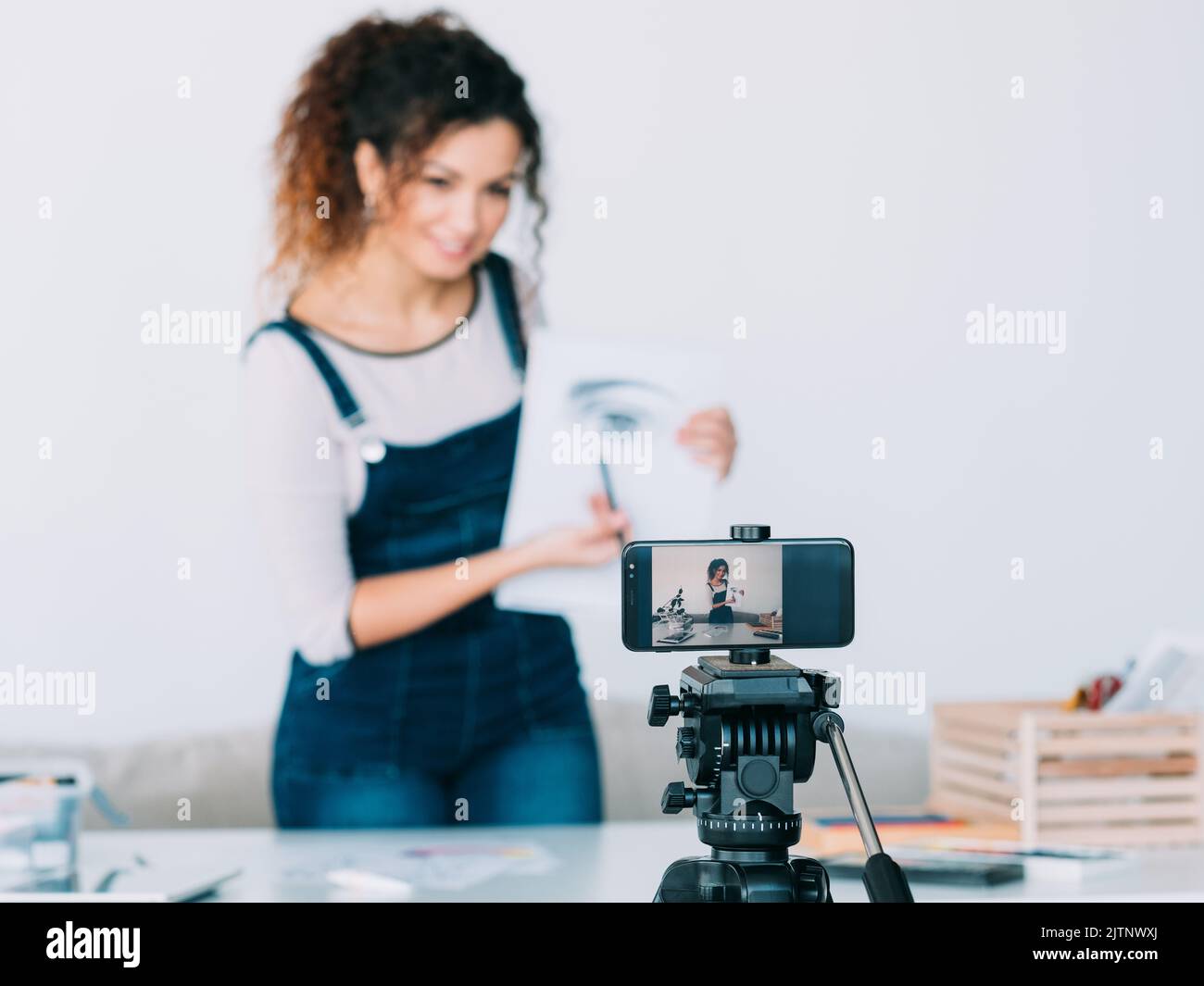 online art class professional painter technique Stock Photo Alamy
