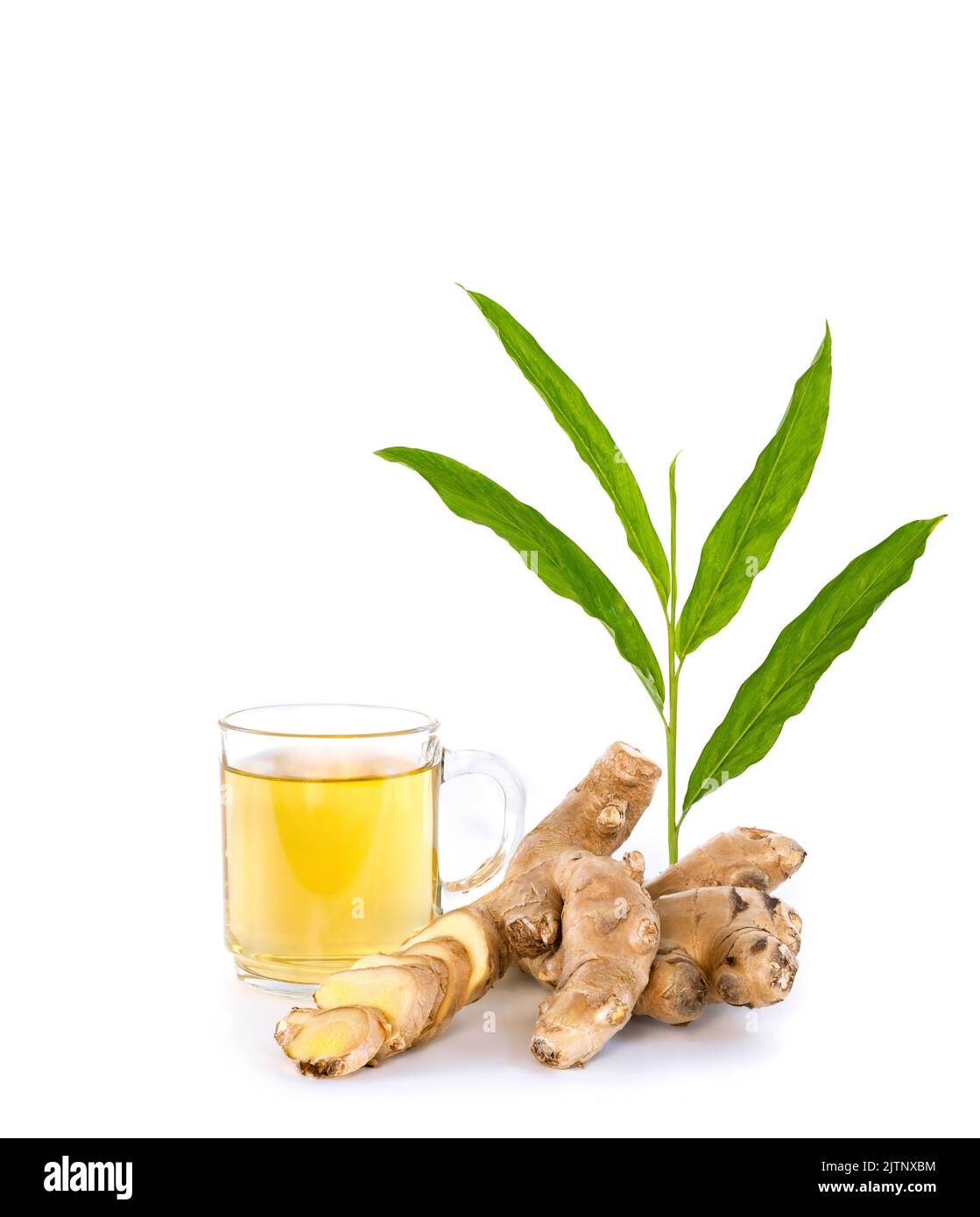 Ginger tea with rhizomes and leaves isolated on white background Stock